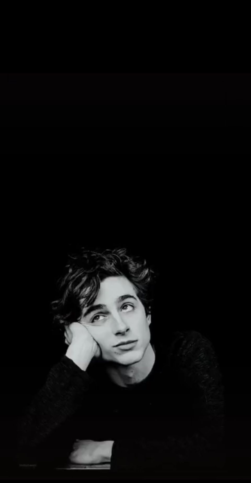 timothee chalamet wallpaper. Timothee chalamet, Timmy t, William levi