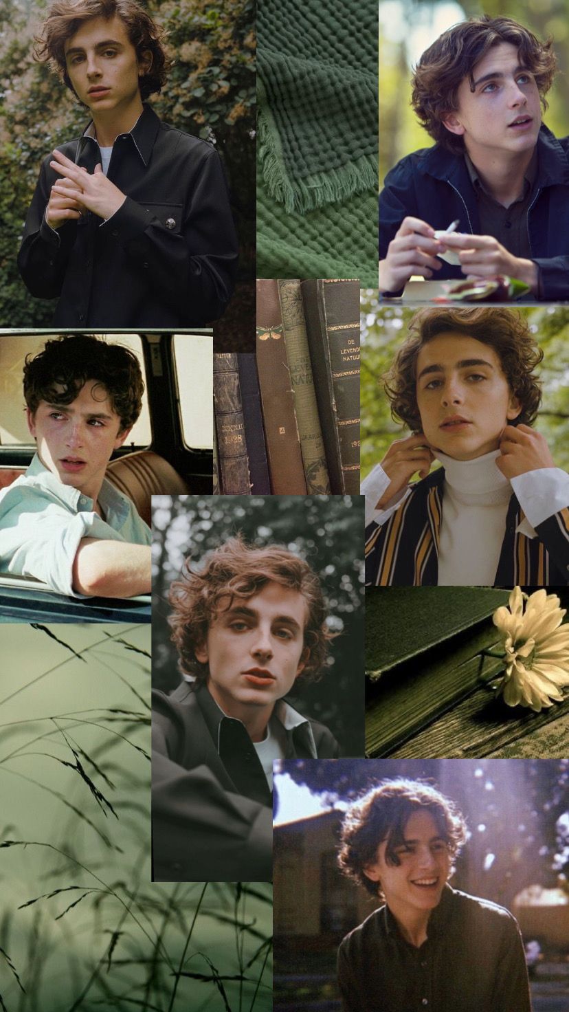 Embrace the Green Aesthetic with Timothee Chalamet Mood Board