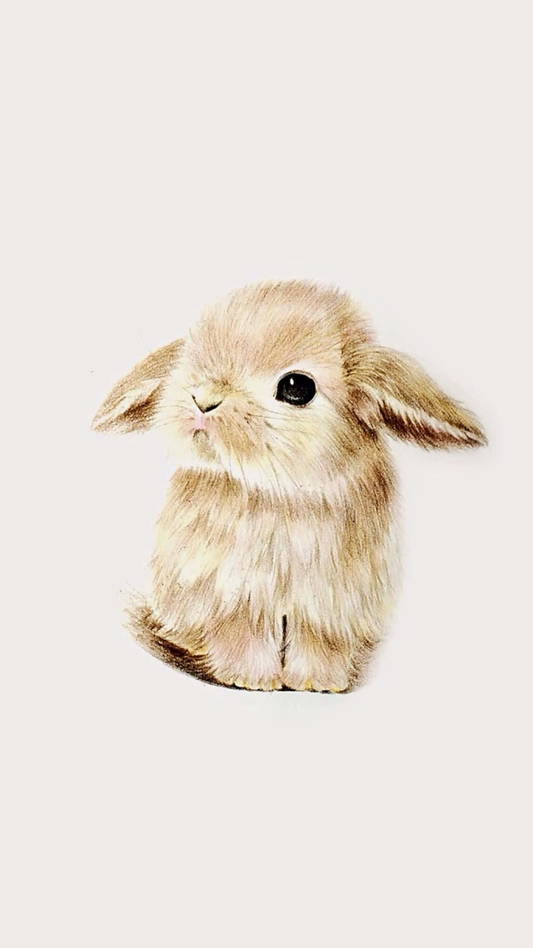 Cute Bunny iPhone Wallpaper