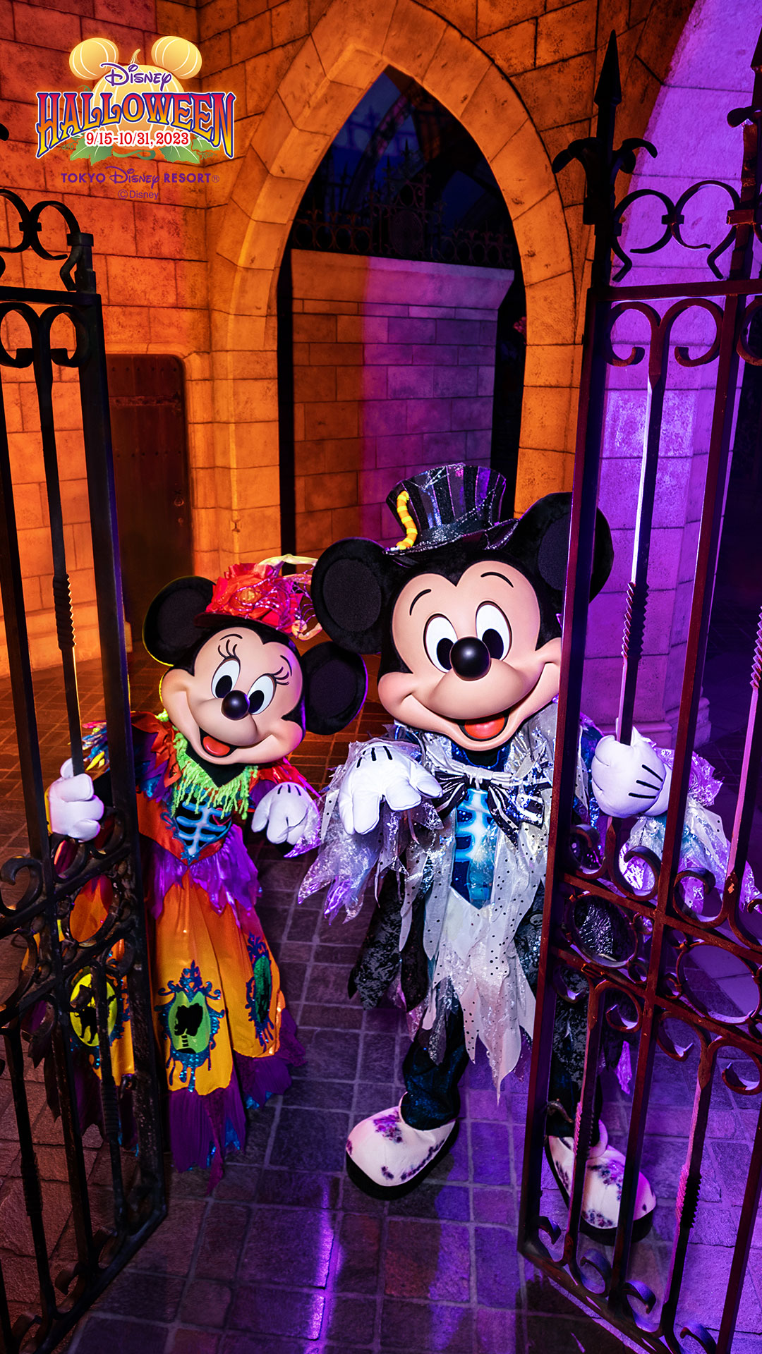 OfficialWallpaper. Tokyo Disney Resort