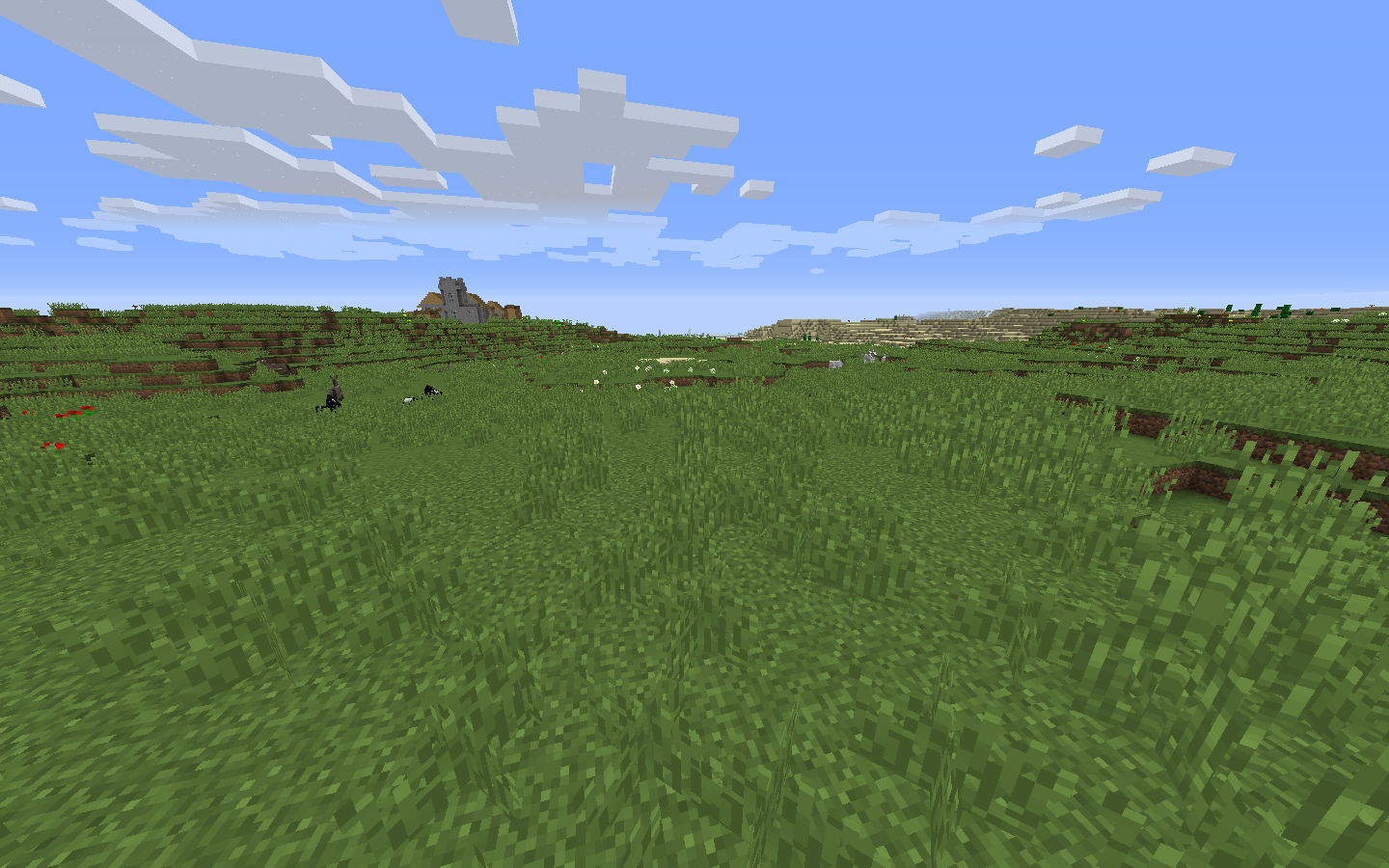 Plains Biome