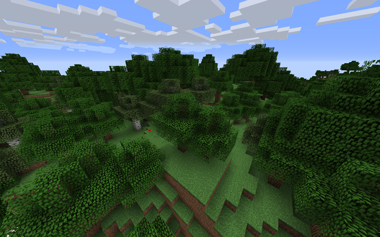 Forest Biome