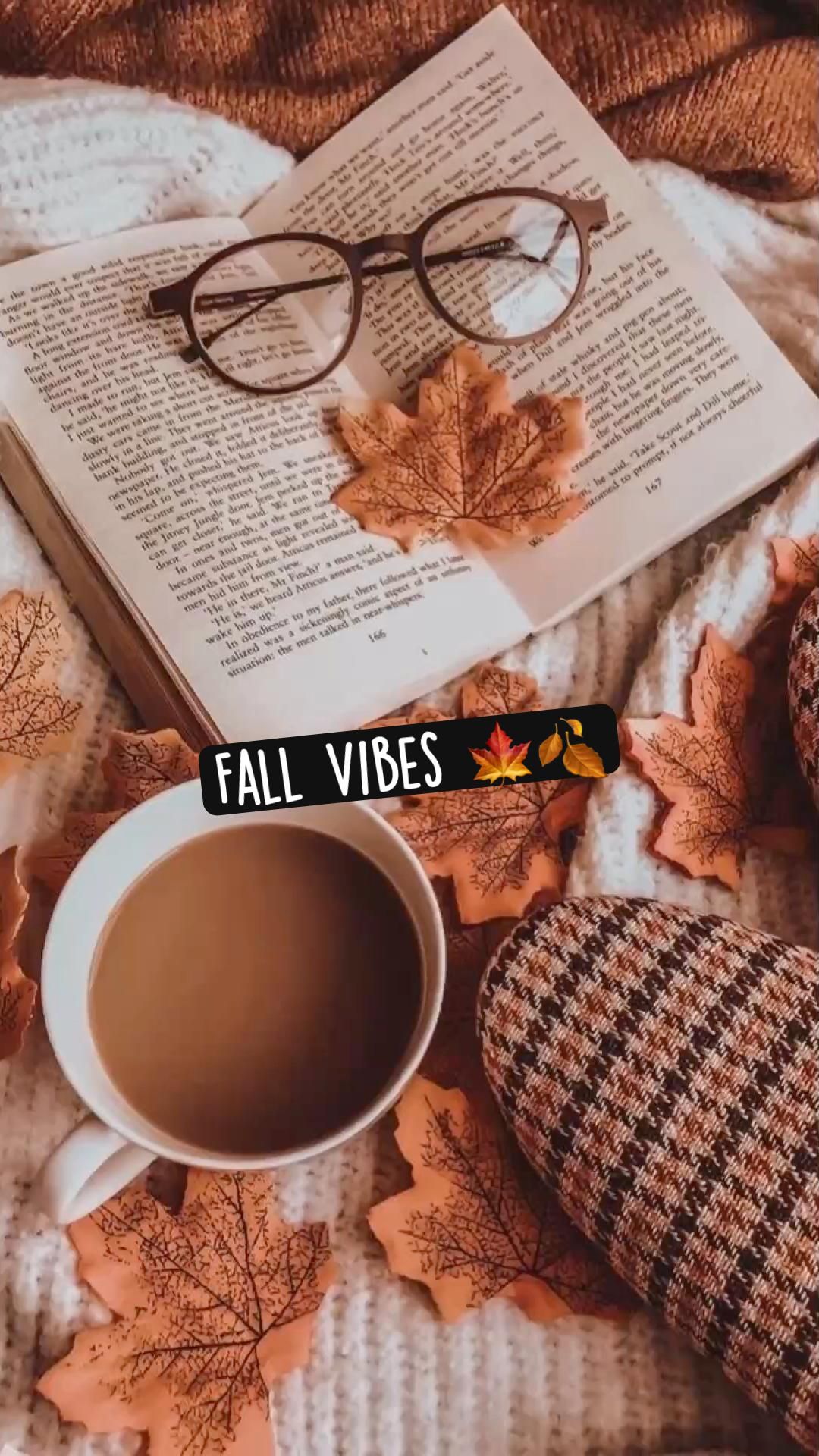 Fall Vibes