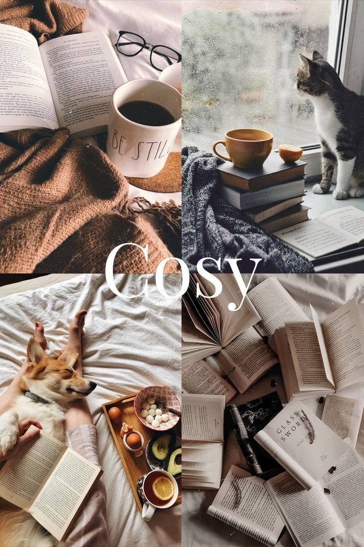 Autumn Collage Aesthetic Wallpaper, Mood Cosy. Cute fall wallpaper, Fall wallpaper, iPhone wallpaper tumblr aesthetic
