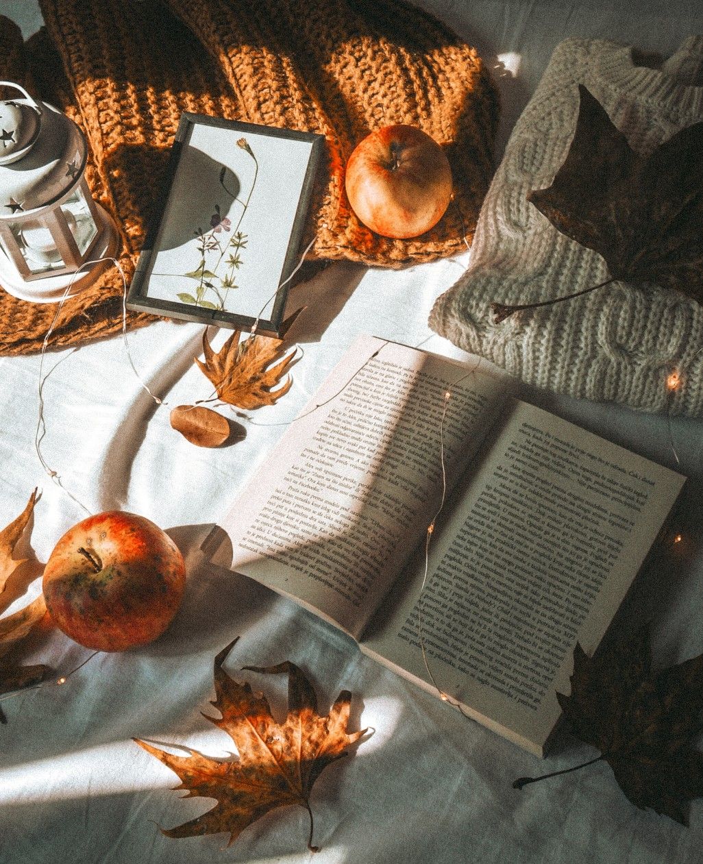 Autumn. Autumn flatlay, Autumn cozy, Fall wallpaper