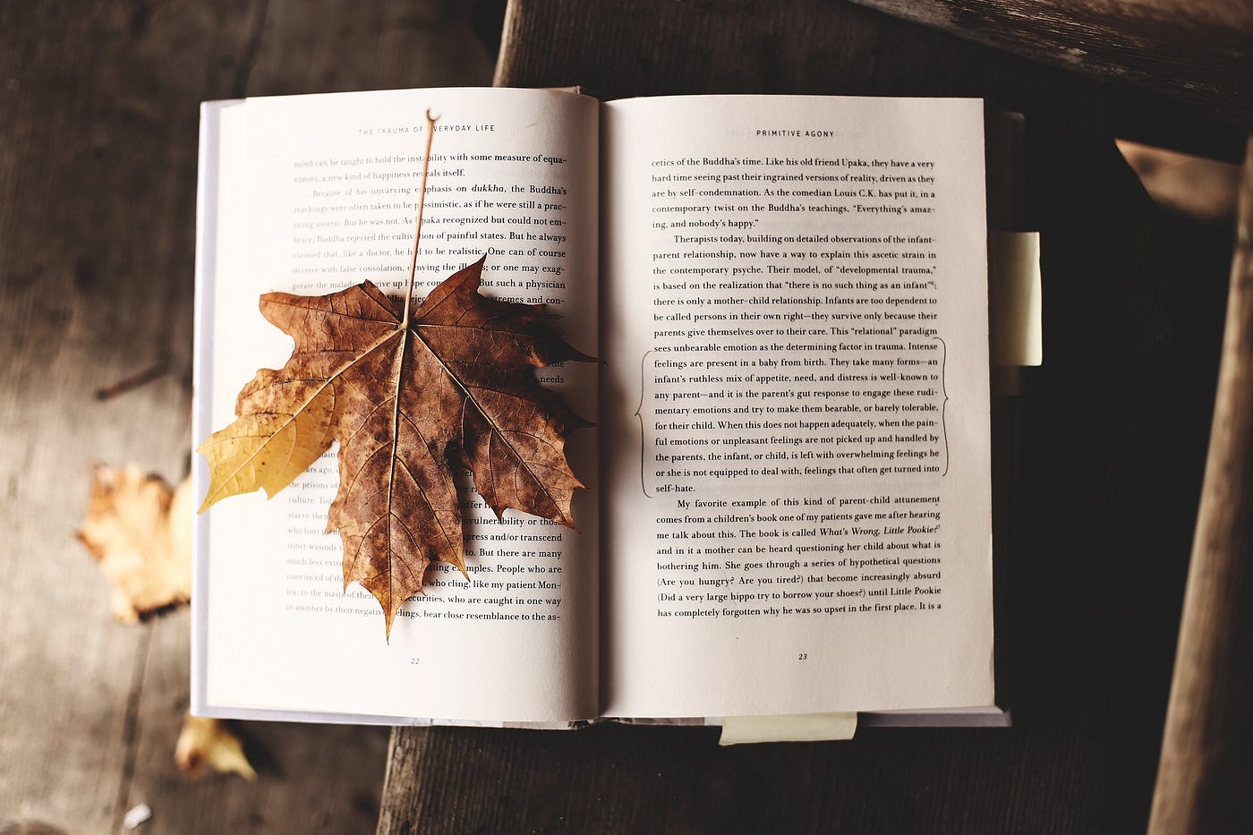 Books to Read in the Fall. Spooky, moody and cute