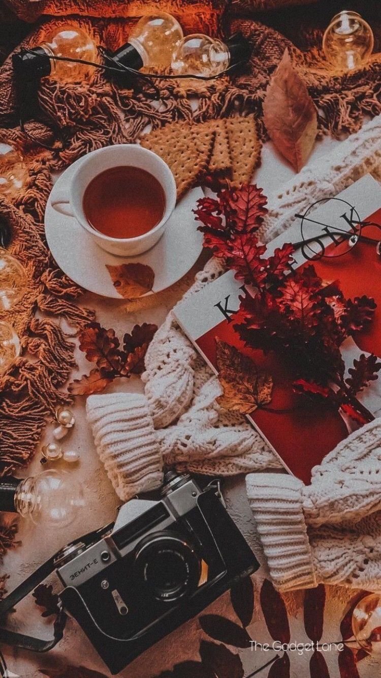 Coffee autumn aesthetic Wallpaper Download