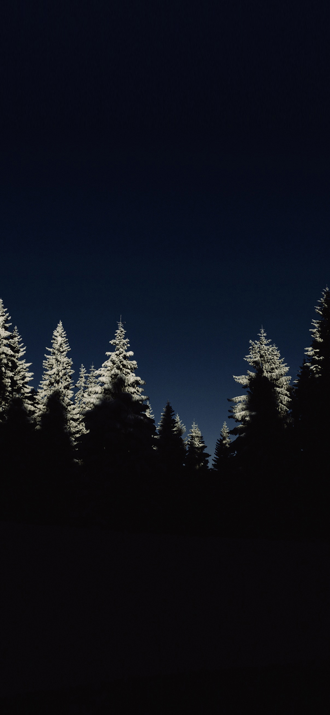 Wood Winter Night Mountain Minimal Wallpaper