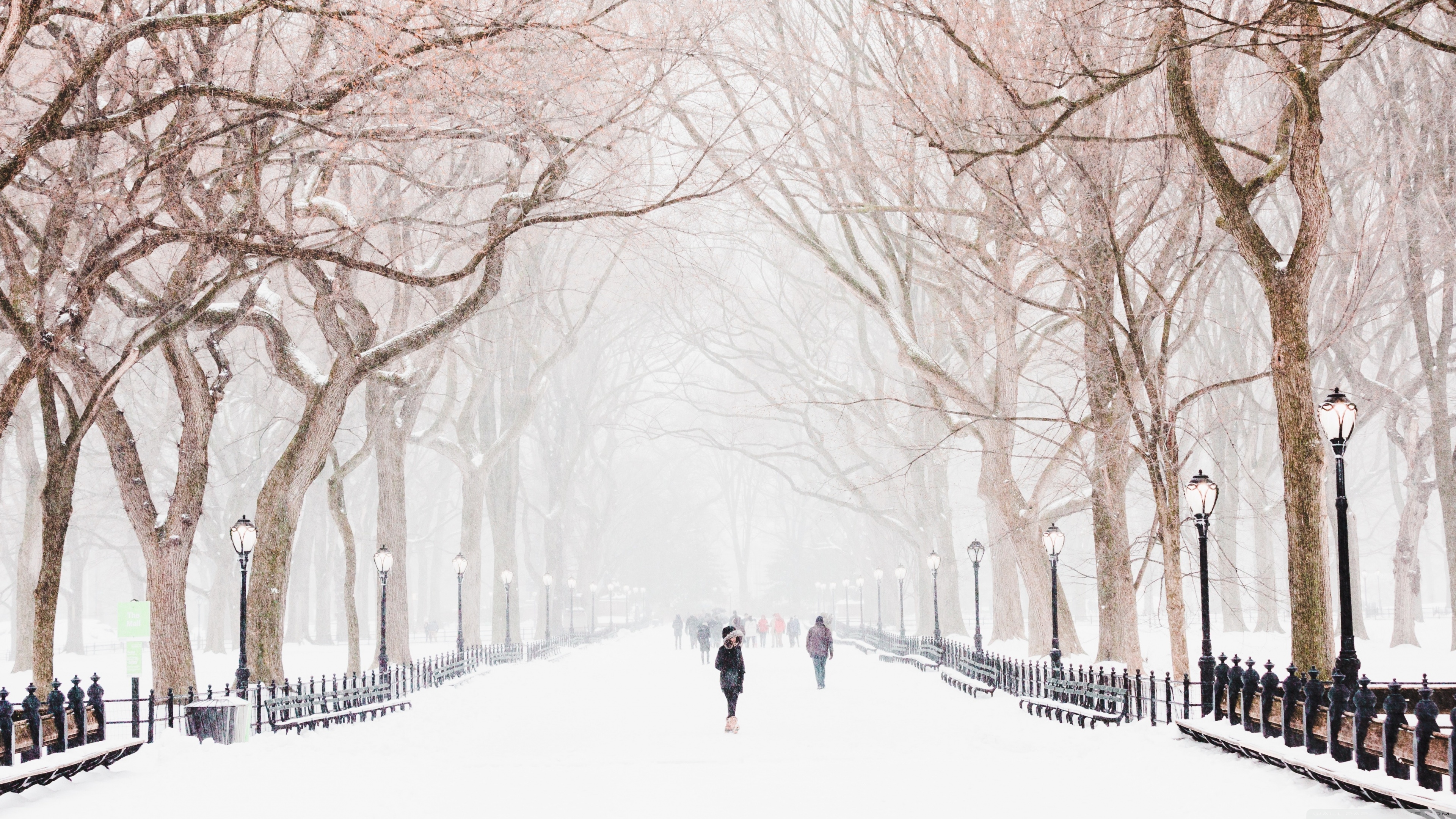 Winter, Central Park, New York City Ultra HD Desktop Background Wallpaper for 4K UHD TV, Widescreen & UltraWide Desktop & Laptop, Tablet