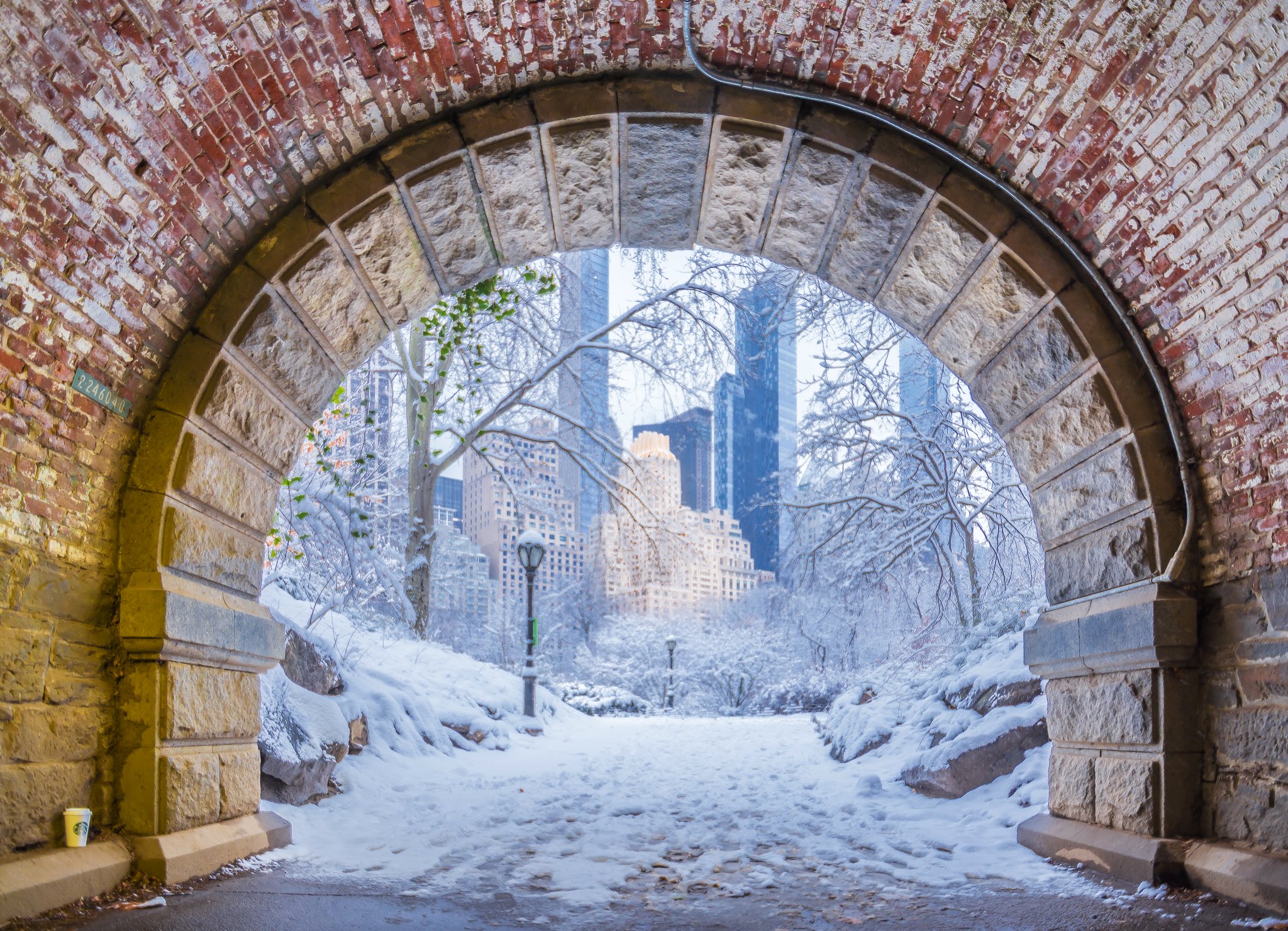 Noel Y. Calingasan • NYC a winter scene in Central Park Throwback to a wintry scene with the Manhattan skyline framed by the pink and gray granite Inscope Arch