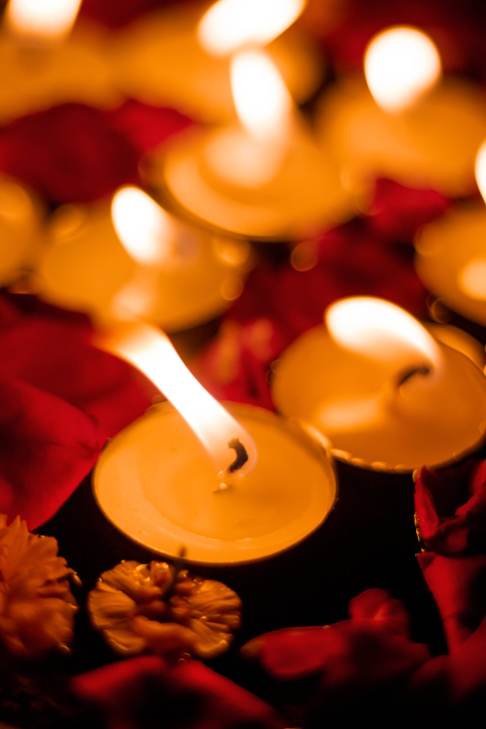 Diwali Image:. HD & Royalty Free