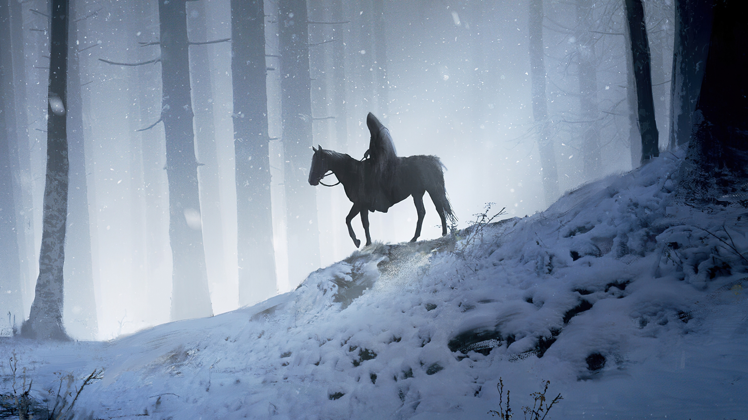 Download wallpaper 2560x1440 man on horse, walking through woods, silhouette, fantasy, dual wide 16:9 2560x1440 HD background, 26203