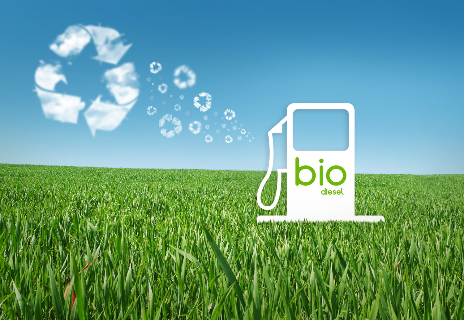 Biodiesel: Do-It-Yourself Production Basics – ATTRA – Sustainable  Agriculture