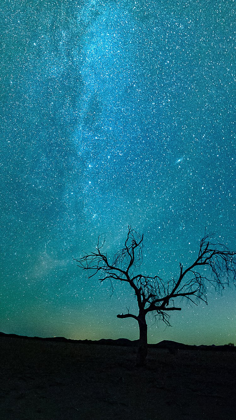 Easy Wallpaper Ideas for Your Phone