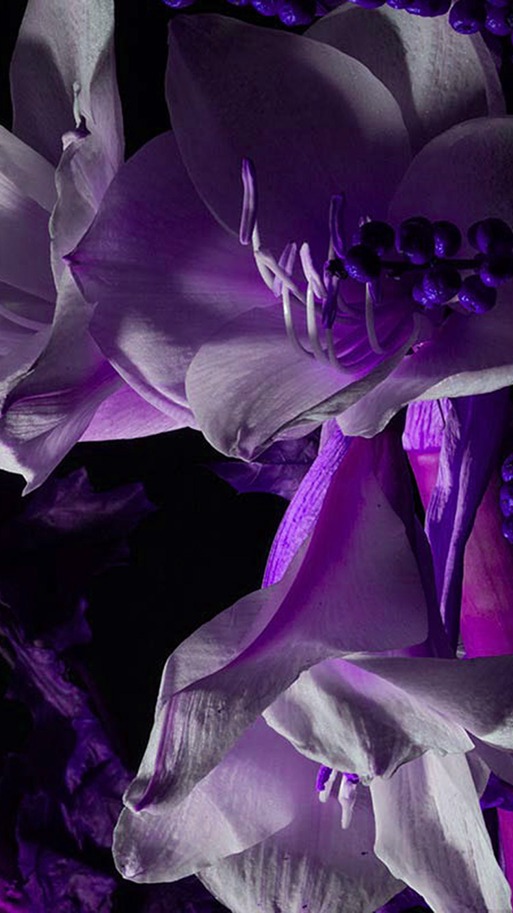 iPhone X wallpaper. art flower dark purple