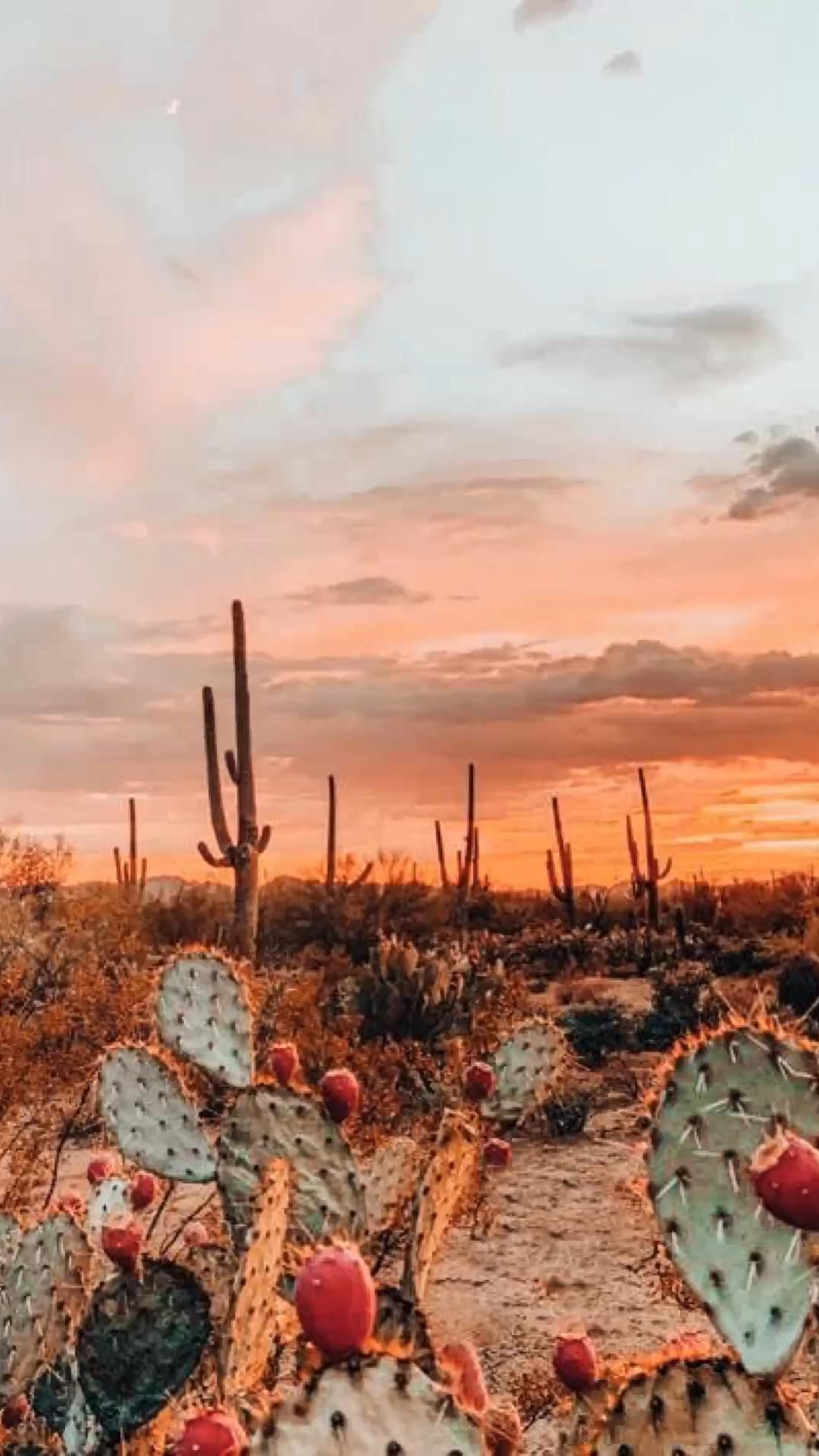 Western Phone Wallpapers Wallpaper Cave