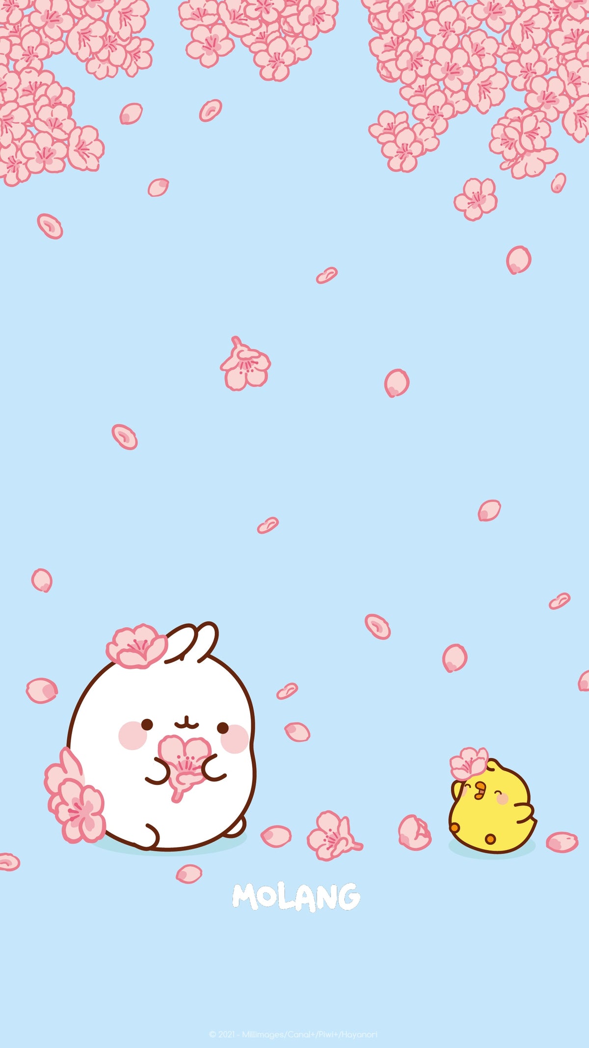 Molang Spring Wallpaper: Discover The Hanami Wallpaper of Molang