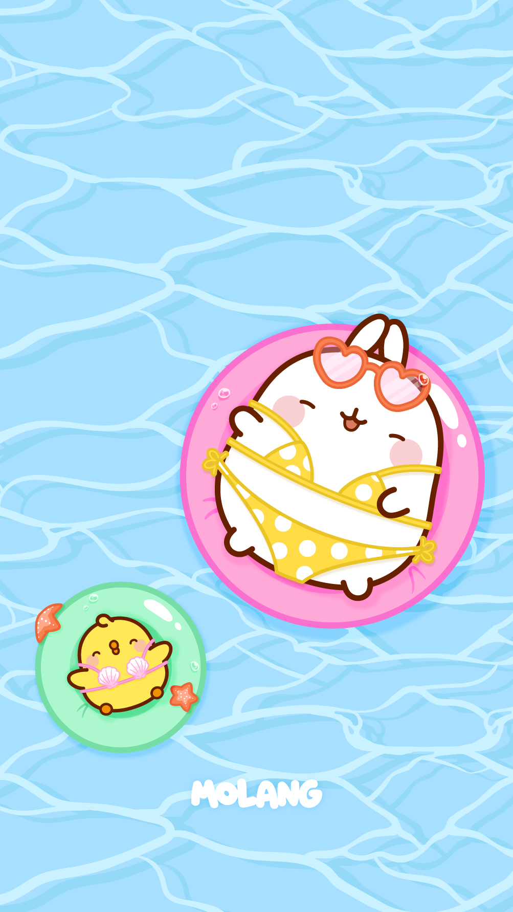 Molang Summer Wallpaper: Discover The Pool Wallpaper of Molang