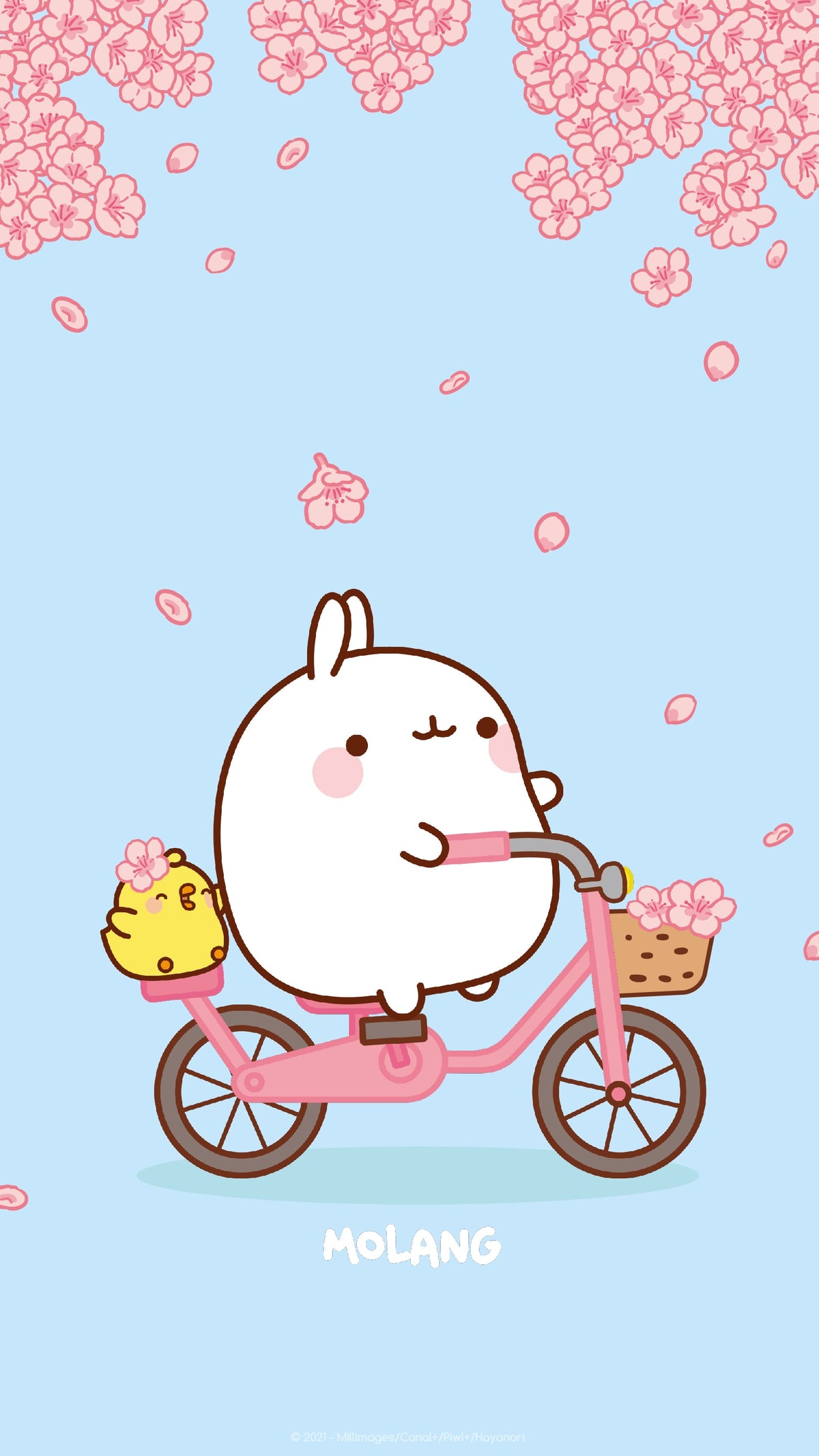Molang Spring Wallpaper: Discover The Cherry Blossom Wallpaper of Molang