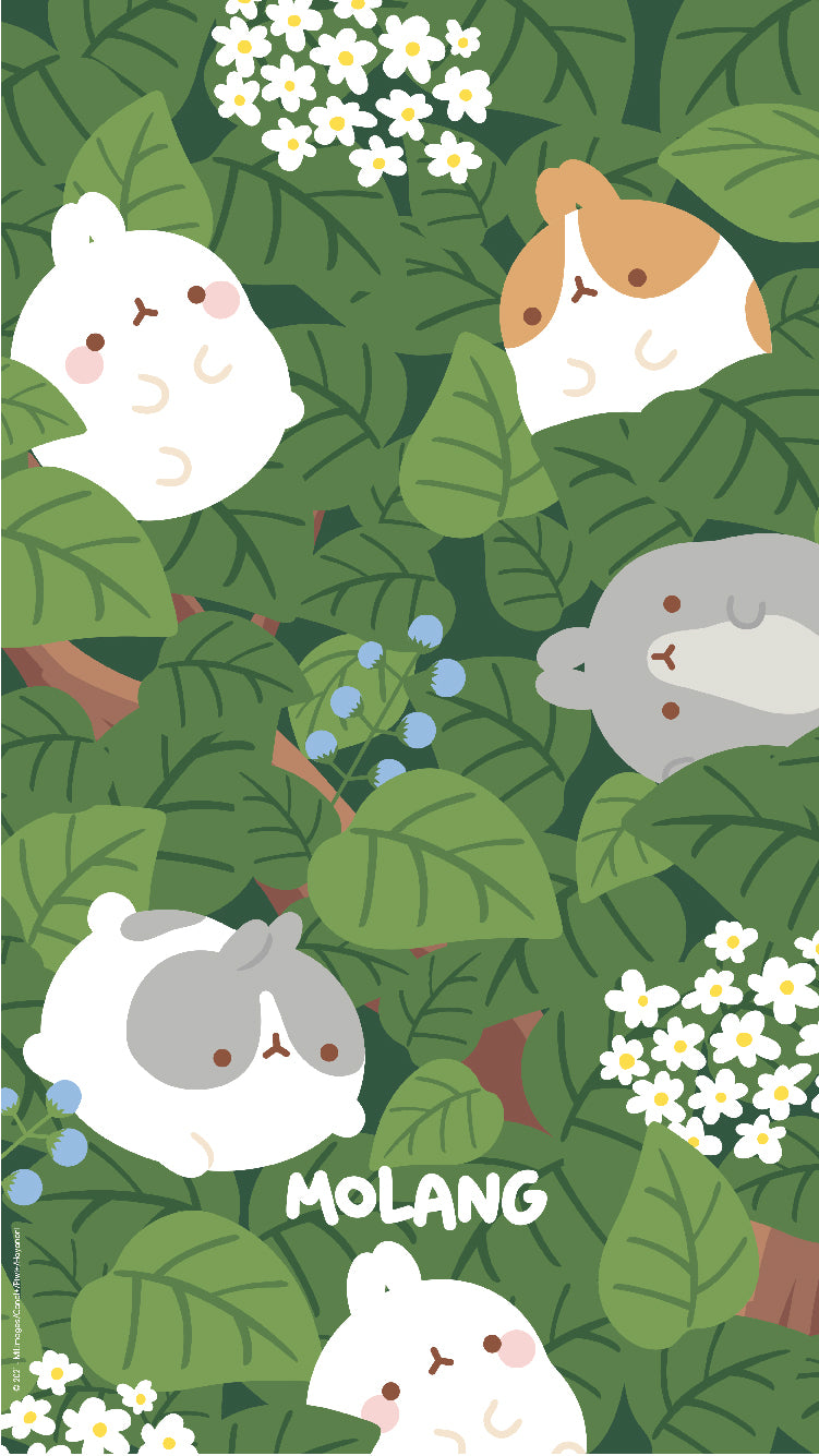 Molang Spring Wallpaper: Discover The Plant Wallpaper of Molang