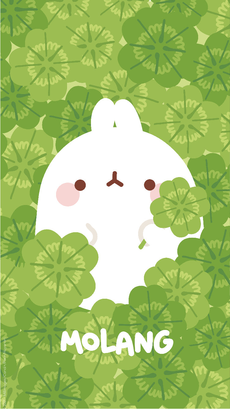 Molang Spring Wallpaper: Discover The Clover Wallpaper of Molang