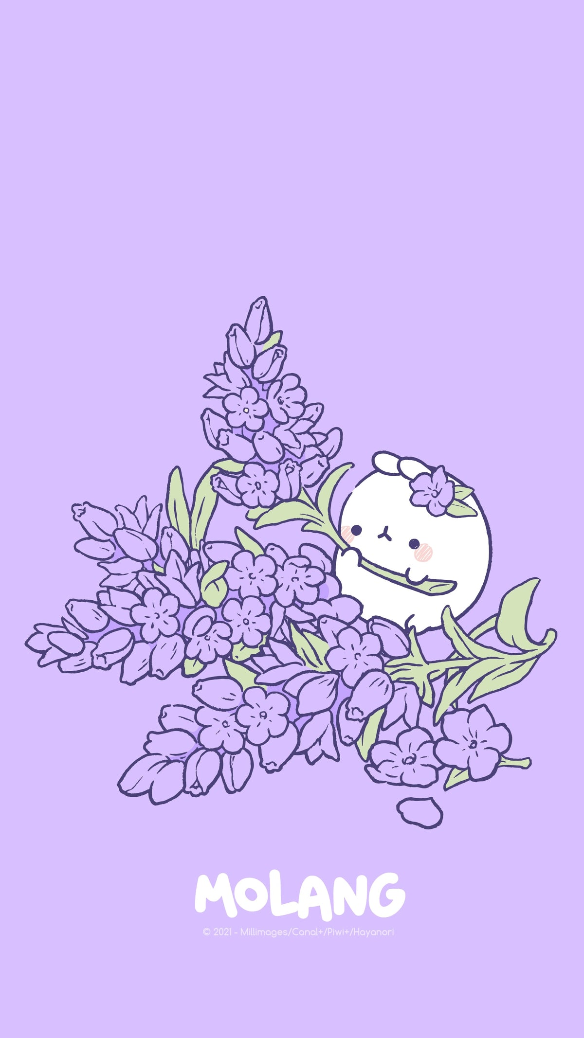 Molang Flower Wallpaper: Discover