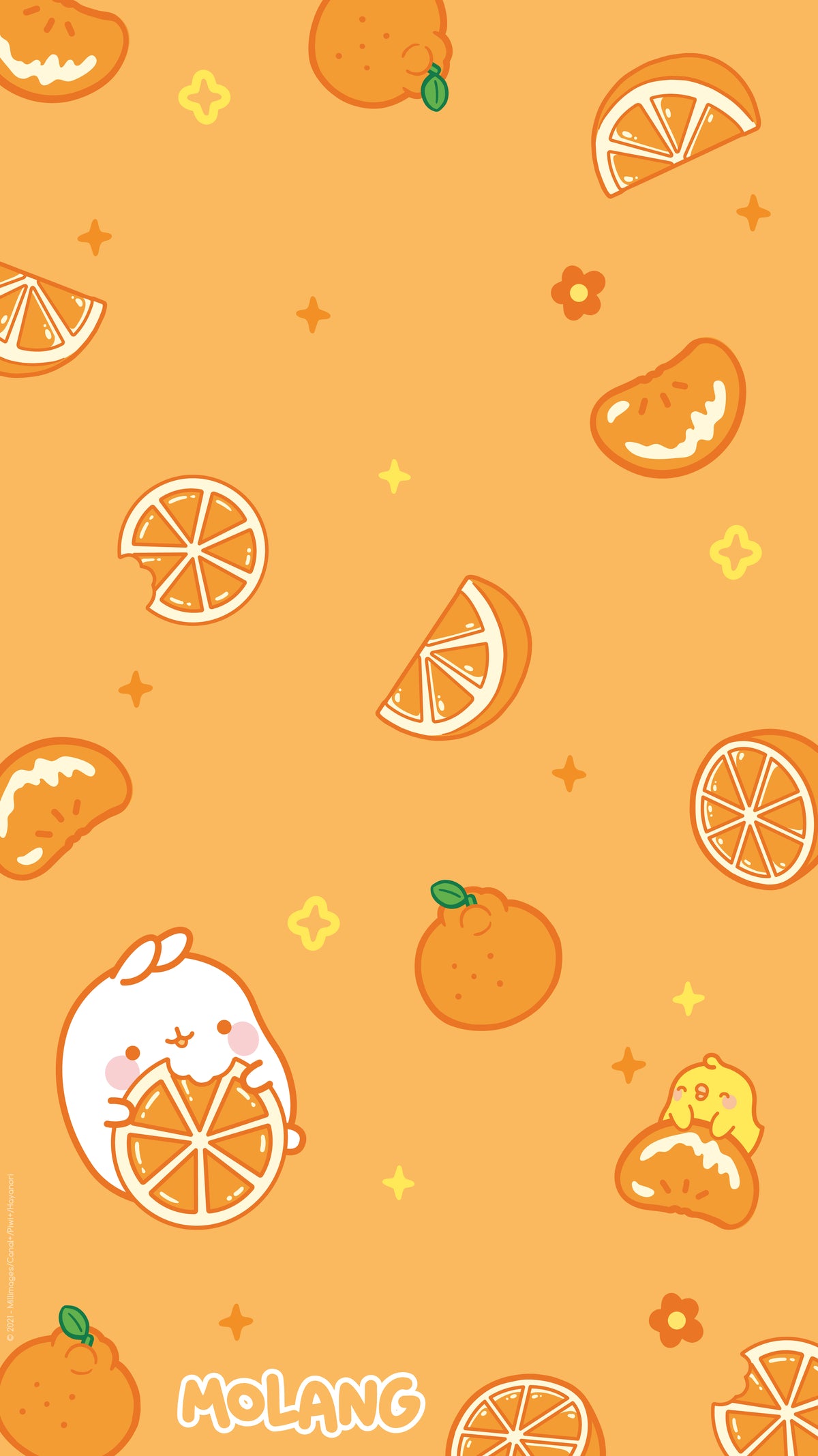 Molang Fruit Wallpaper: Discover The Citrus Wallpaper of Molang