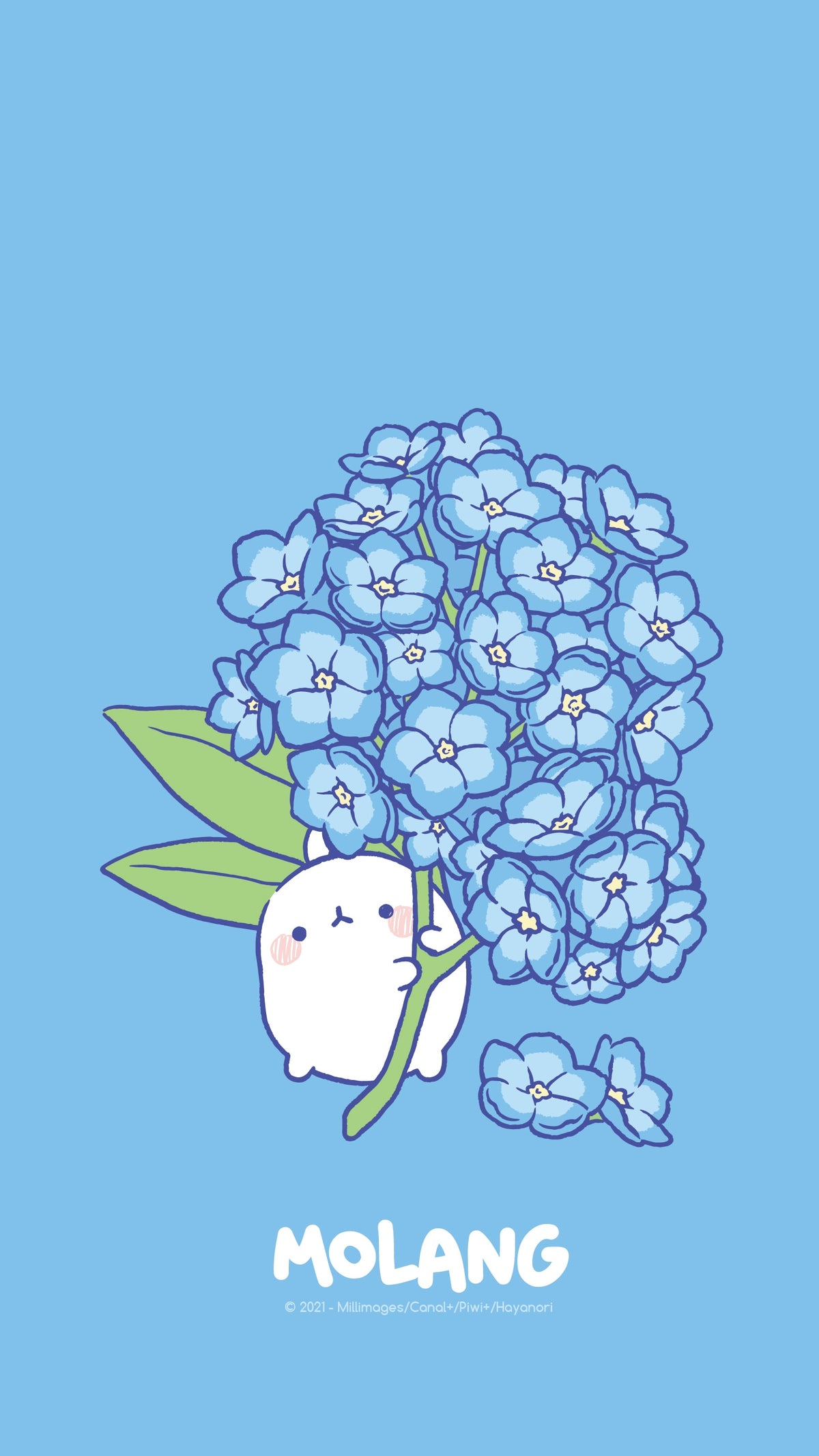 Molang Flower Wallpaper: Discover The Hydrangea Wallpaper of Molang