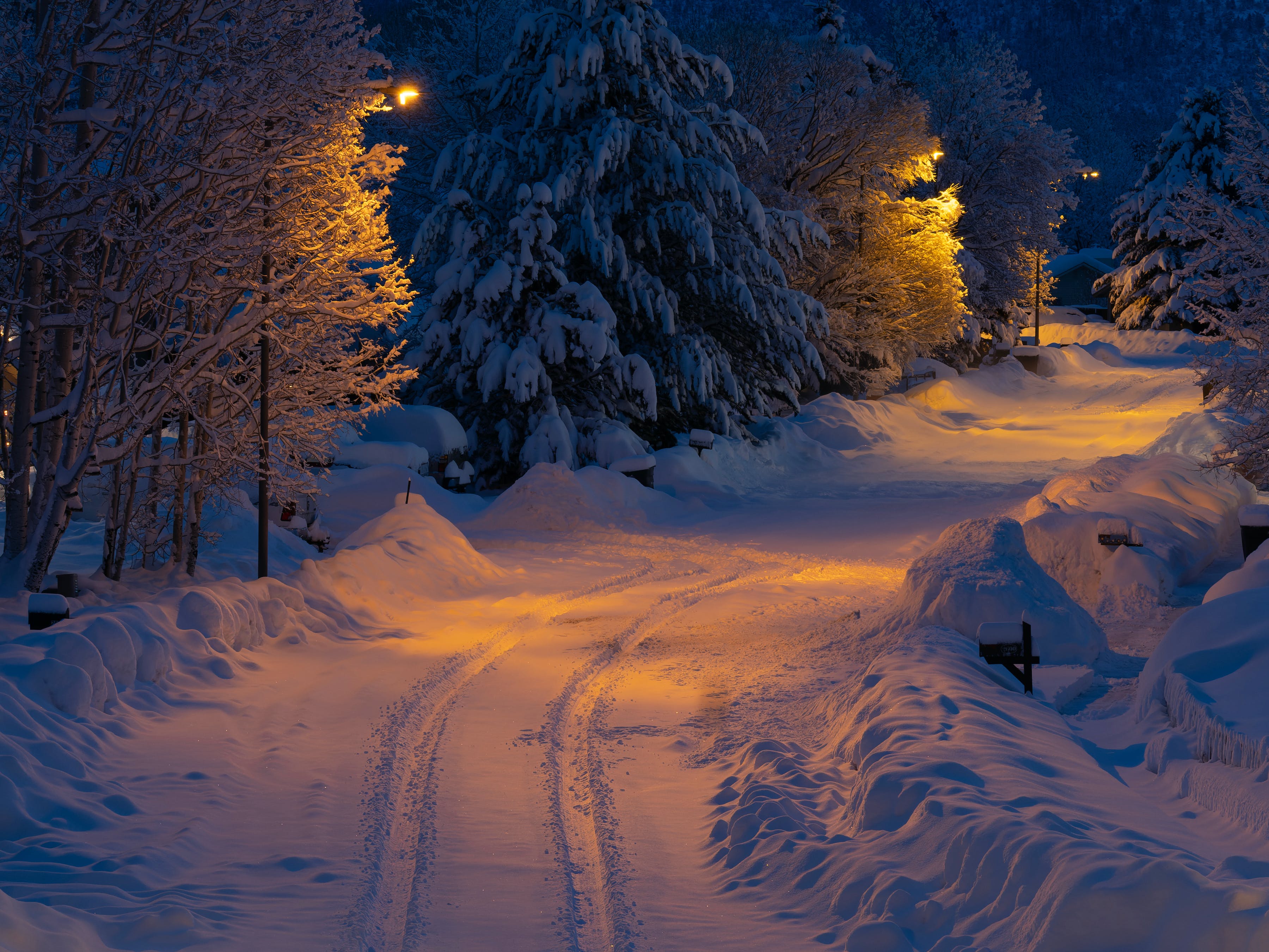 Snow Trail Photo, Download The BEST Free Snow Trail & HD Image