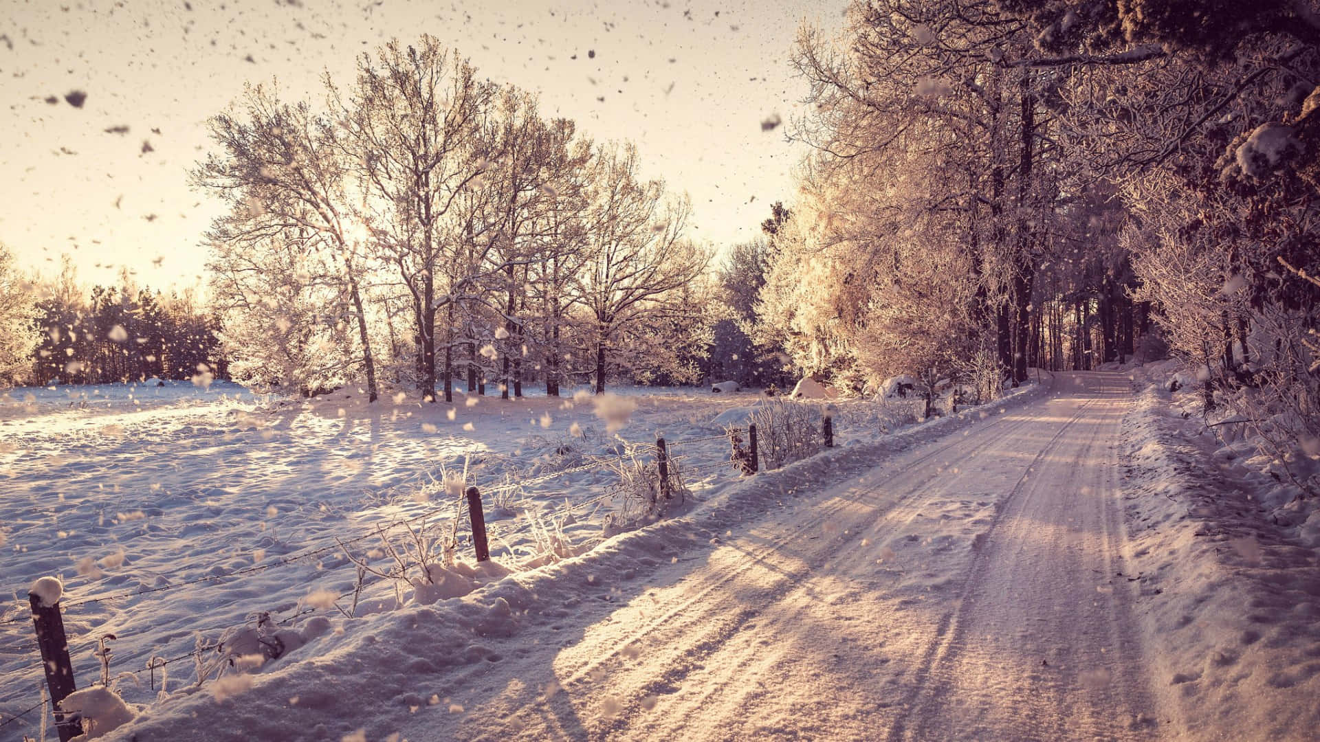 Download Winter Trail HD Desktop Wallpaper