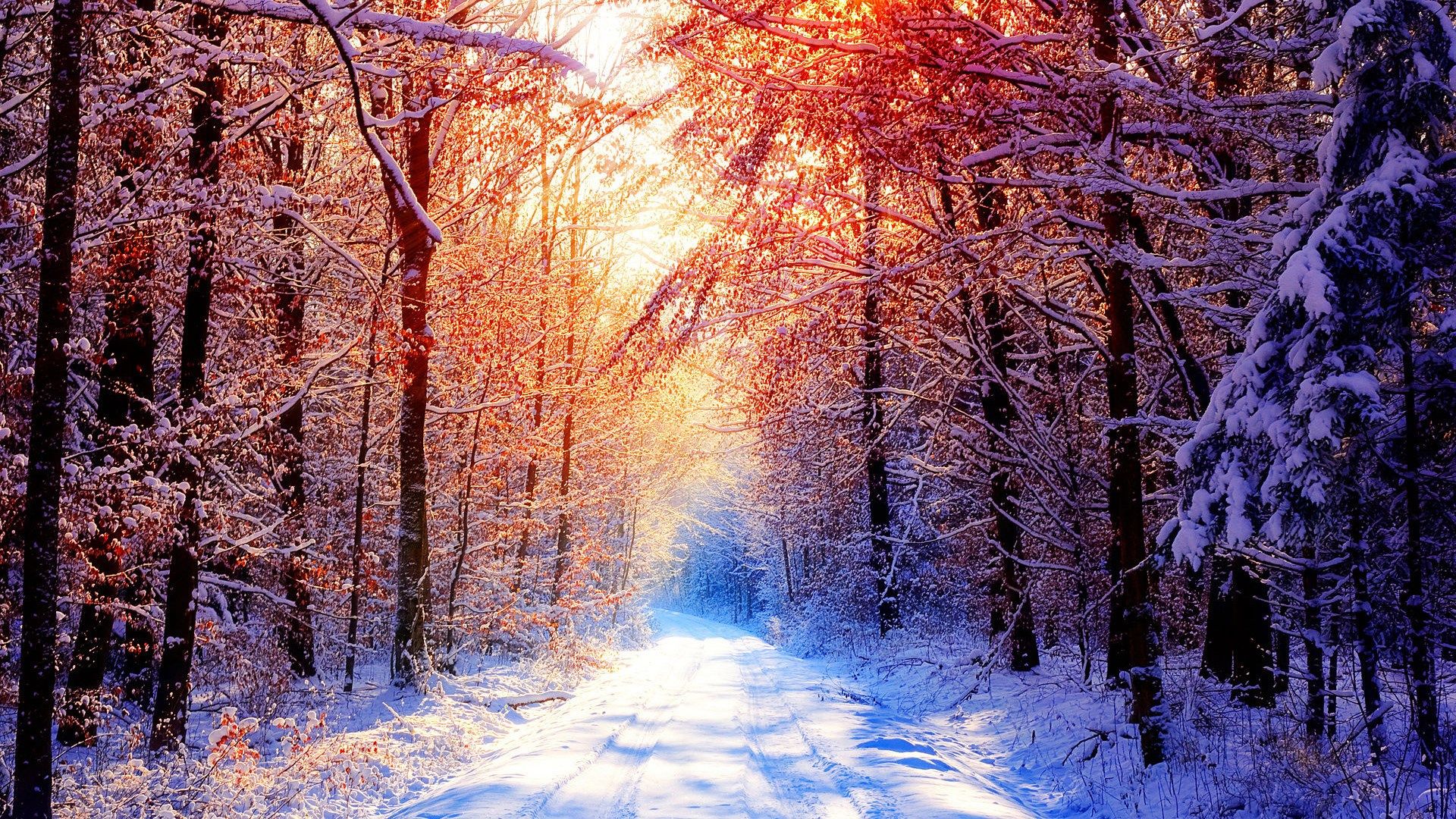 hd nature winter wallpaper background 1920x1080. Winter wallpaper, Winter landscape, Winter background