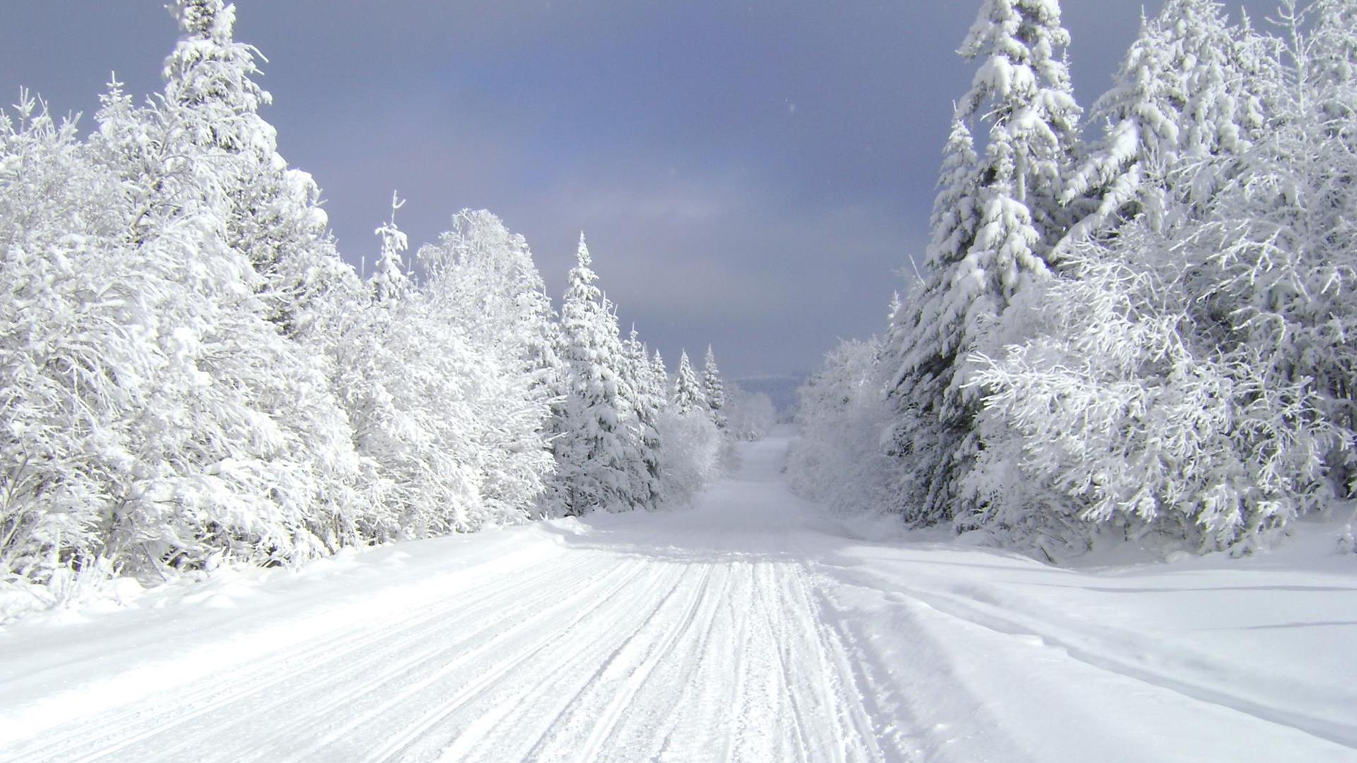 Tis the season: 9 outdoor activities for a wonderful winter in Woodstock