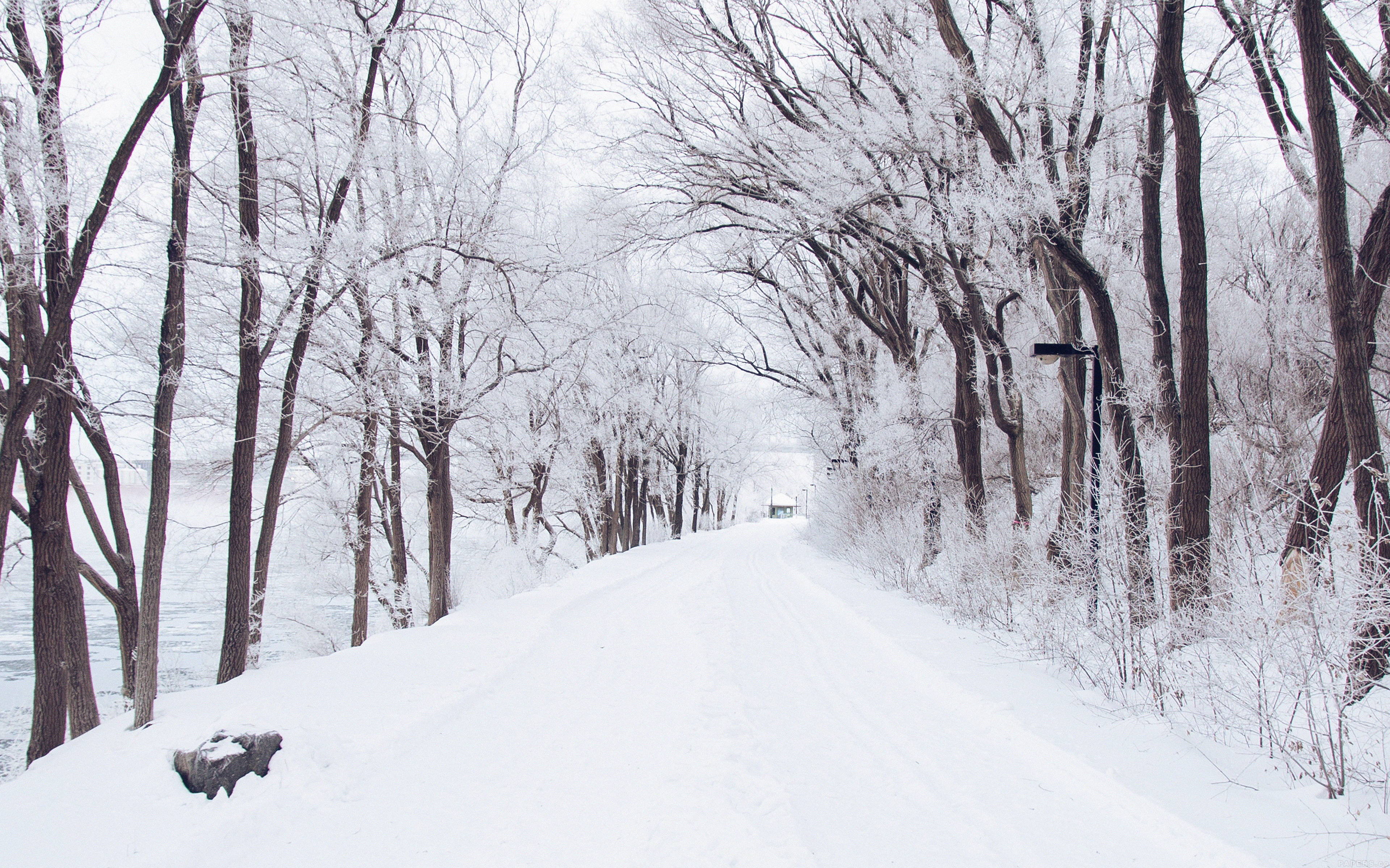 wallpaper for desktop, laptop. winter road romantic nature mountain snow white