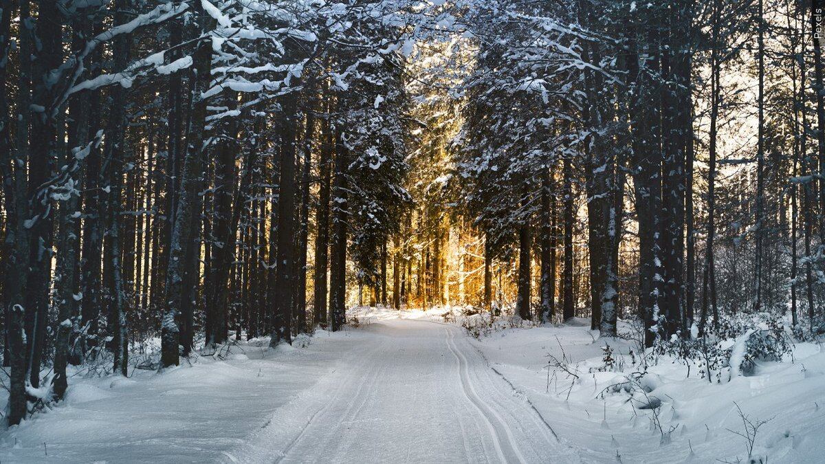 NOAA: Winter will be warmer than usual for regions of the US this season