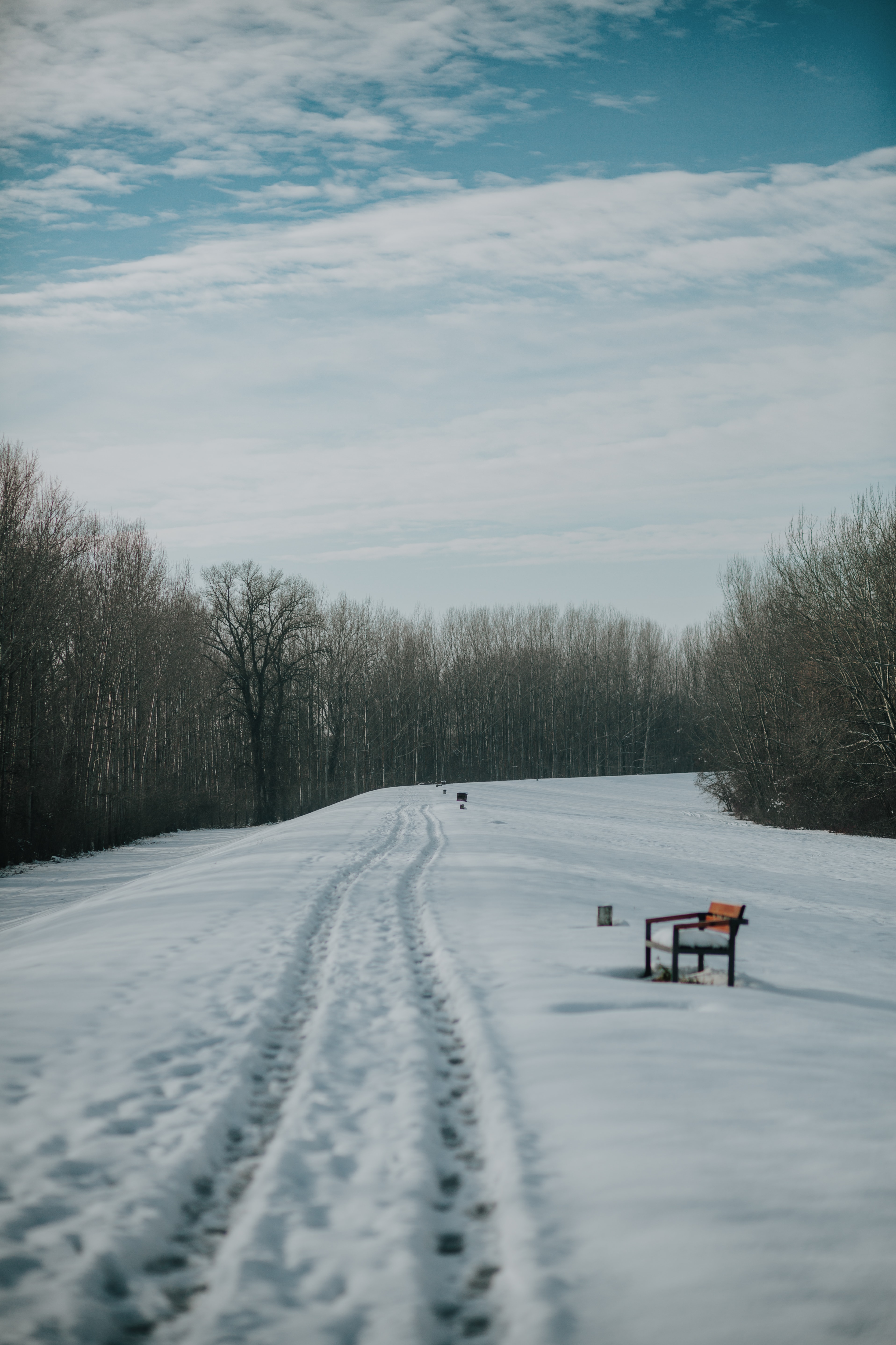 Free picture: snow, footprints, footprint, trail, footstep, path, road, weather, cold, landscape