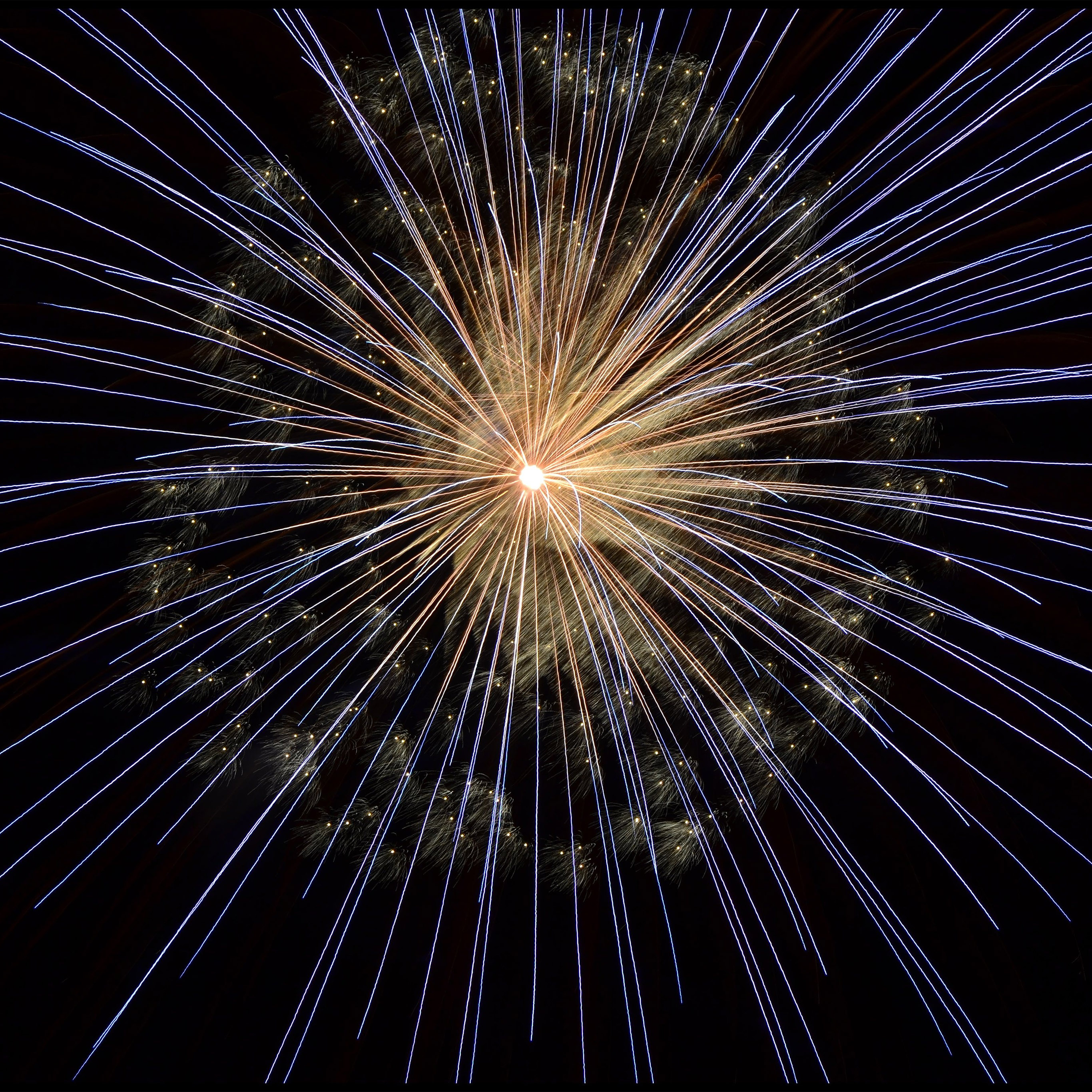 Happy New Year Firework Sky Party Dark Wallpaper