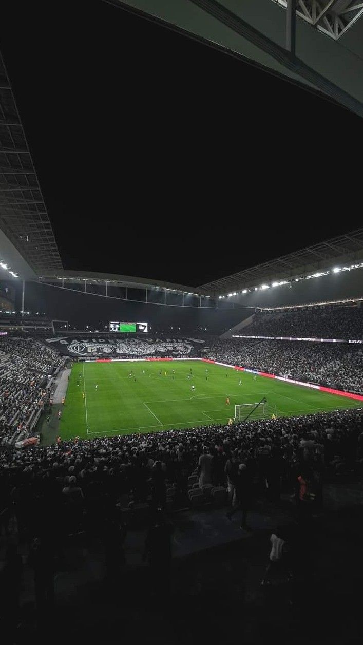 Neo Quimica Arena. Soccer field, European football, Soccer