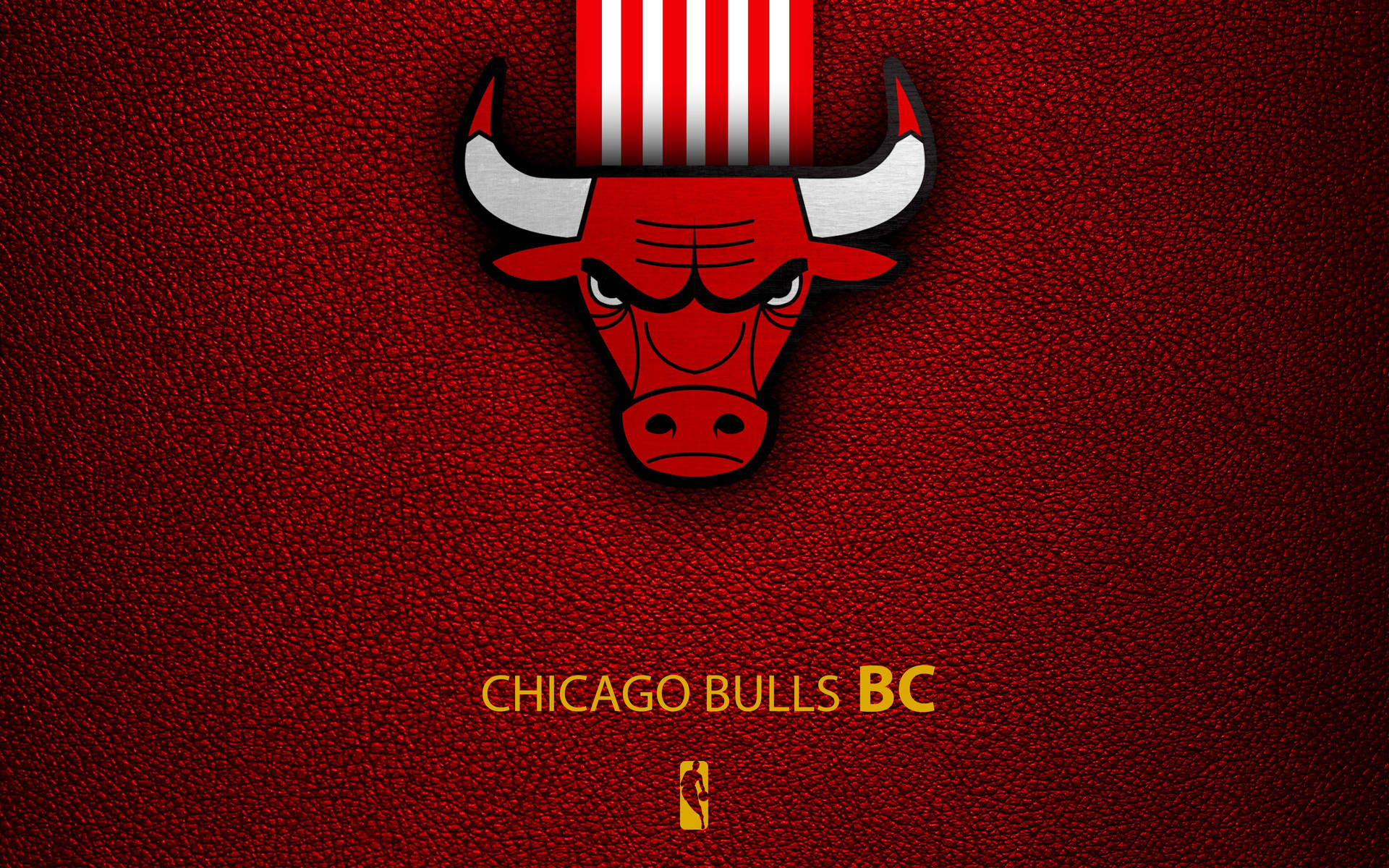 Bulls Wallpaper
