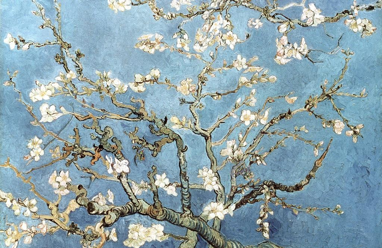 Vincent Van Gogh Almond Blossom Branches Post Impressionist Painter Artist Painting Stretched Canvas Wall Art 16x24 inch