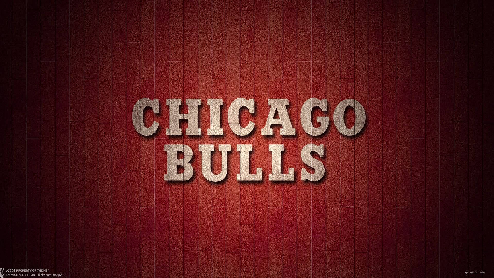 Bulls Wallpaper