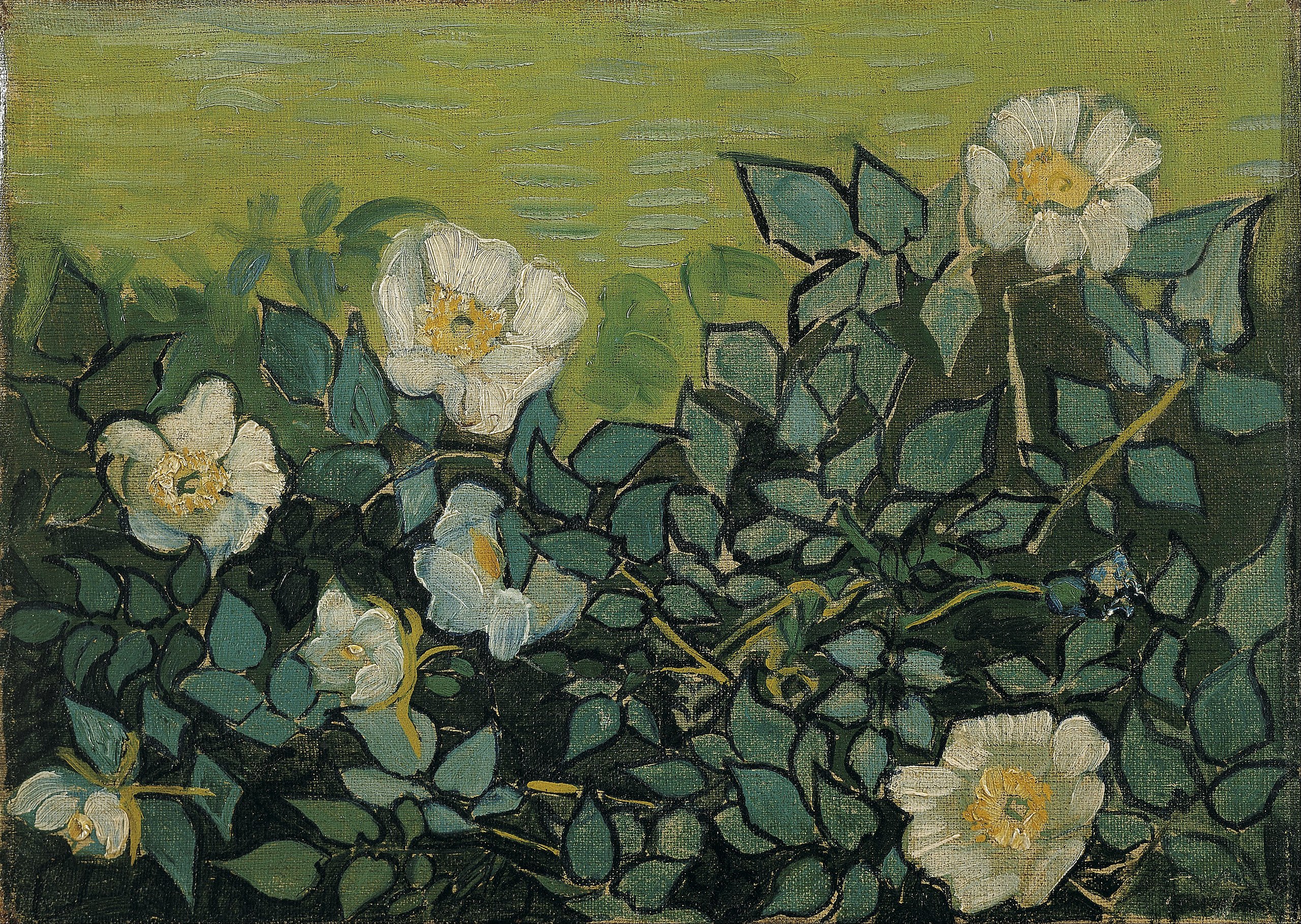 Vincent van Gogh roses Art