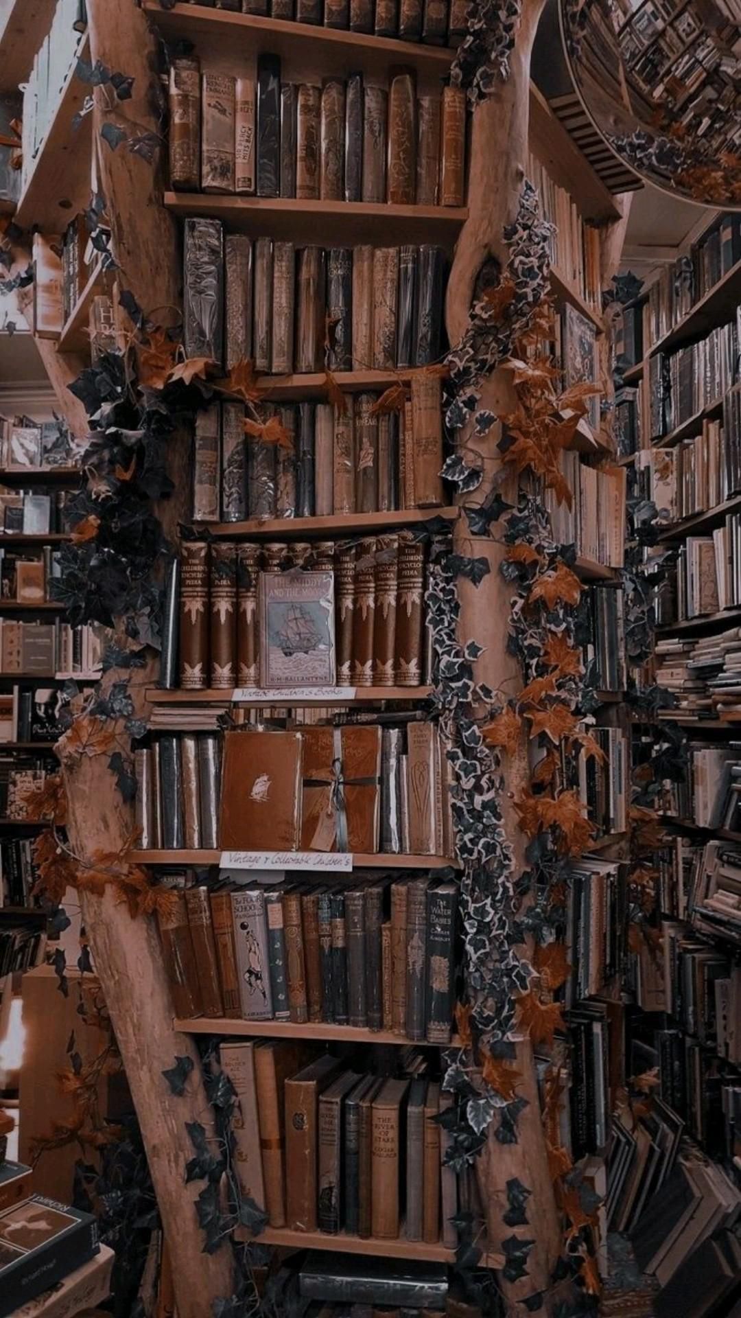 library. Aesthetic wallpaper, Library aesthetic, Book wallpaper