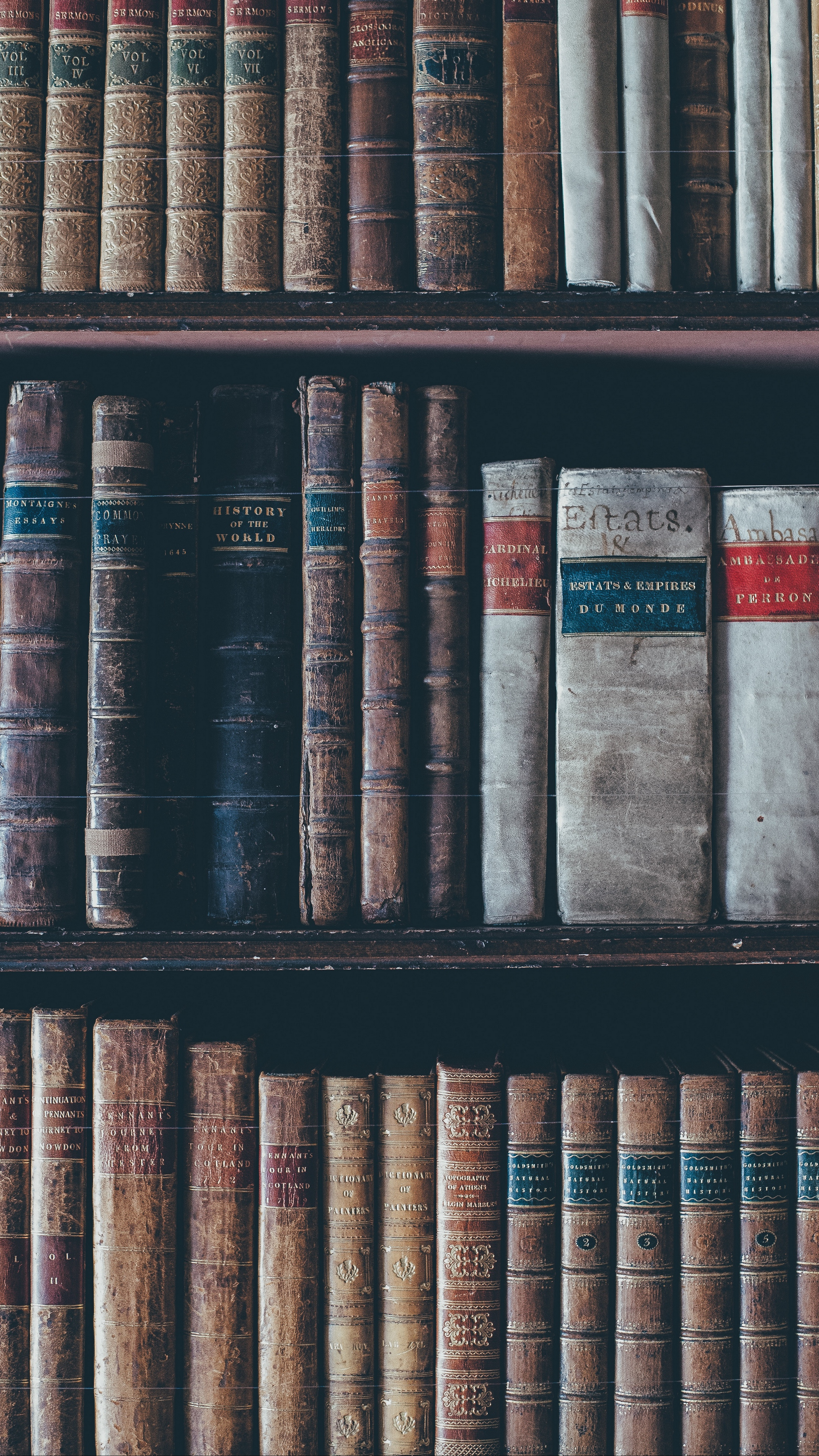 Library books Wallpaper Download
