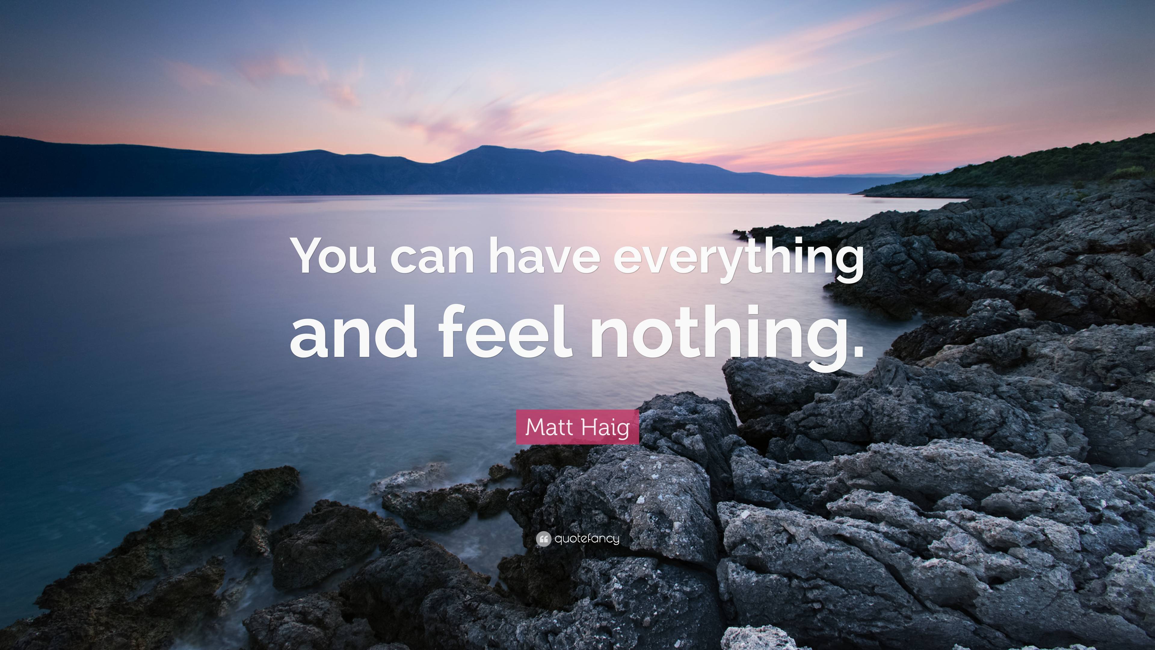 Matt Haig Quote: “You can have everything and feel nothing.”