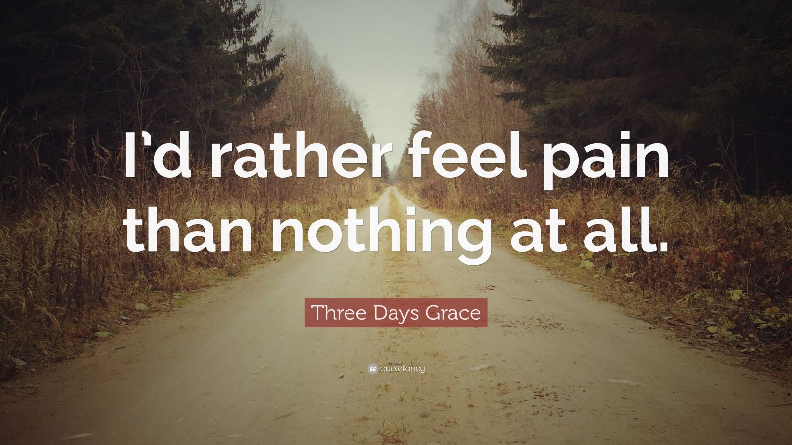 Three Days Grace Quote: “I'd rather feel pain than nothing at all.”