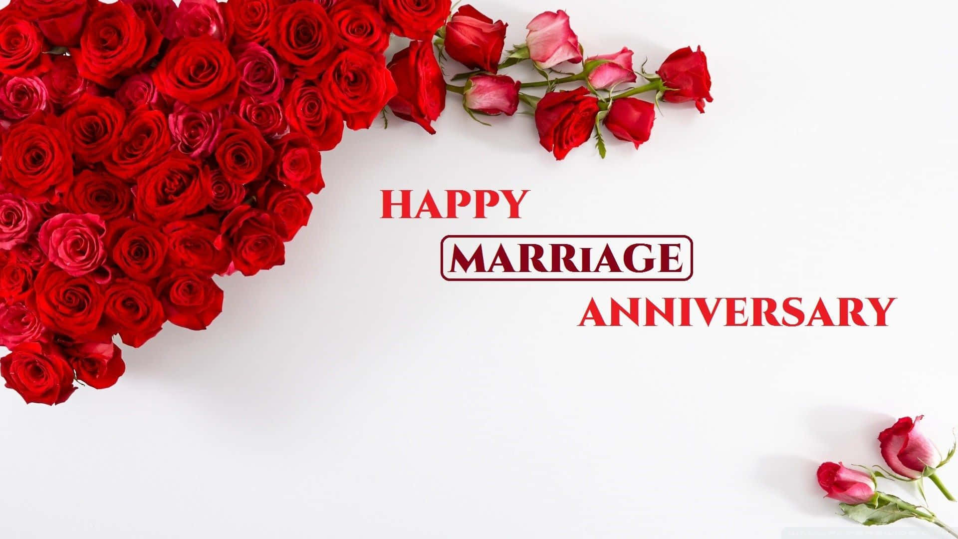 Download Happy Marriage Anniversary Picture