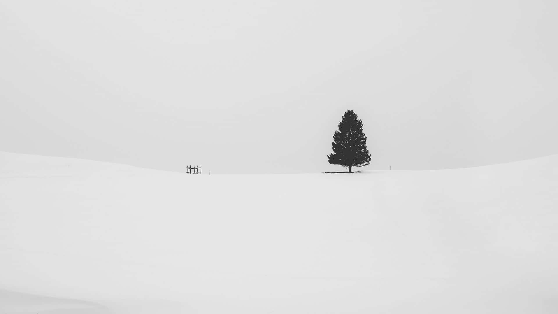 Minimalist Monochrome Wallpaper