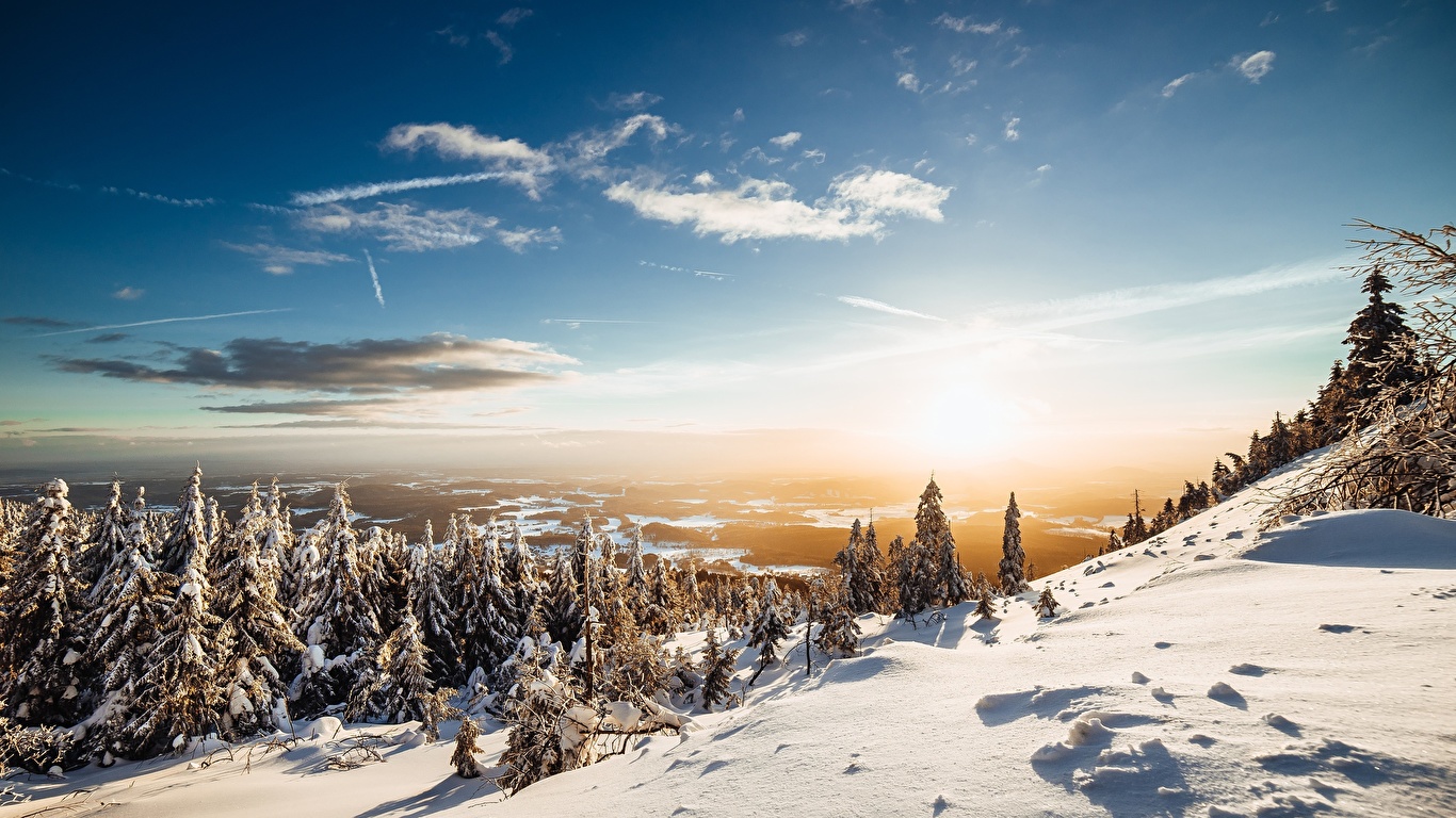 image Sun Winter Spruce Nature mountain Sky Snow landscape 1366x768
