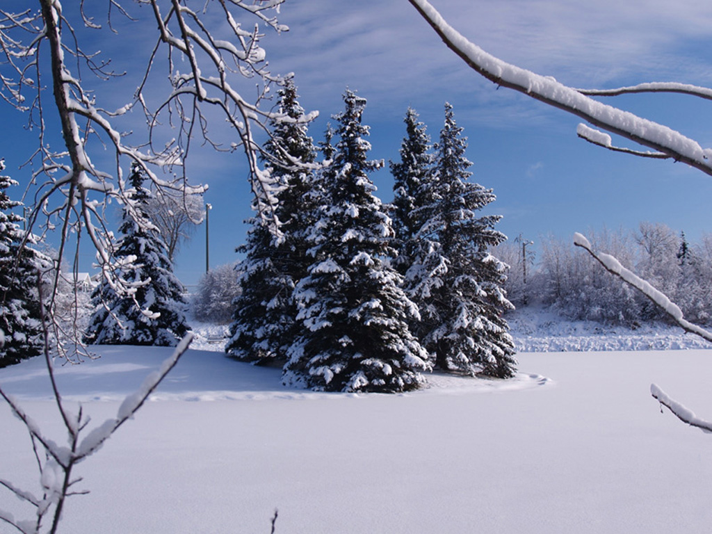 Free Christmas Desktop Wallpaper: Christmas Winter Scene Wallpaper