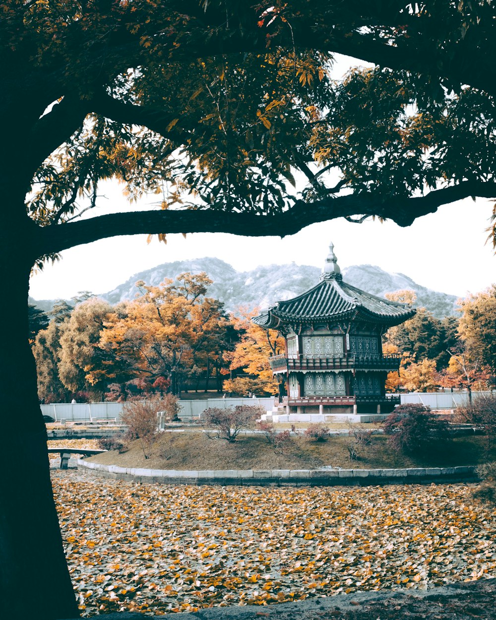 Gyeongbokgung Palace Picture. Download Free Image